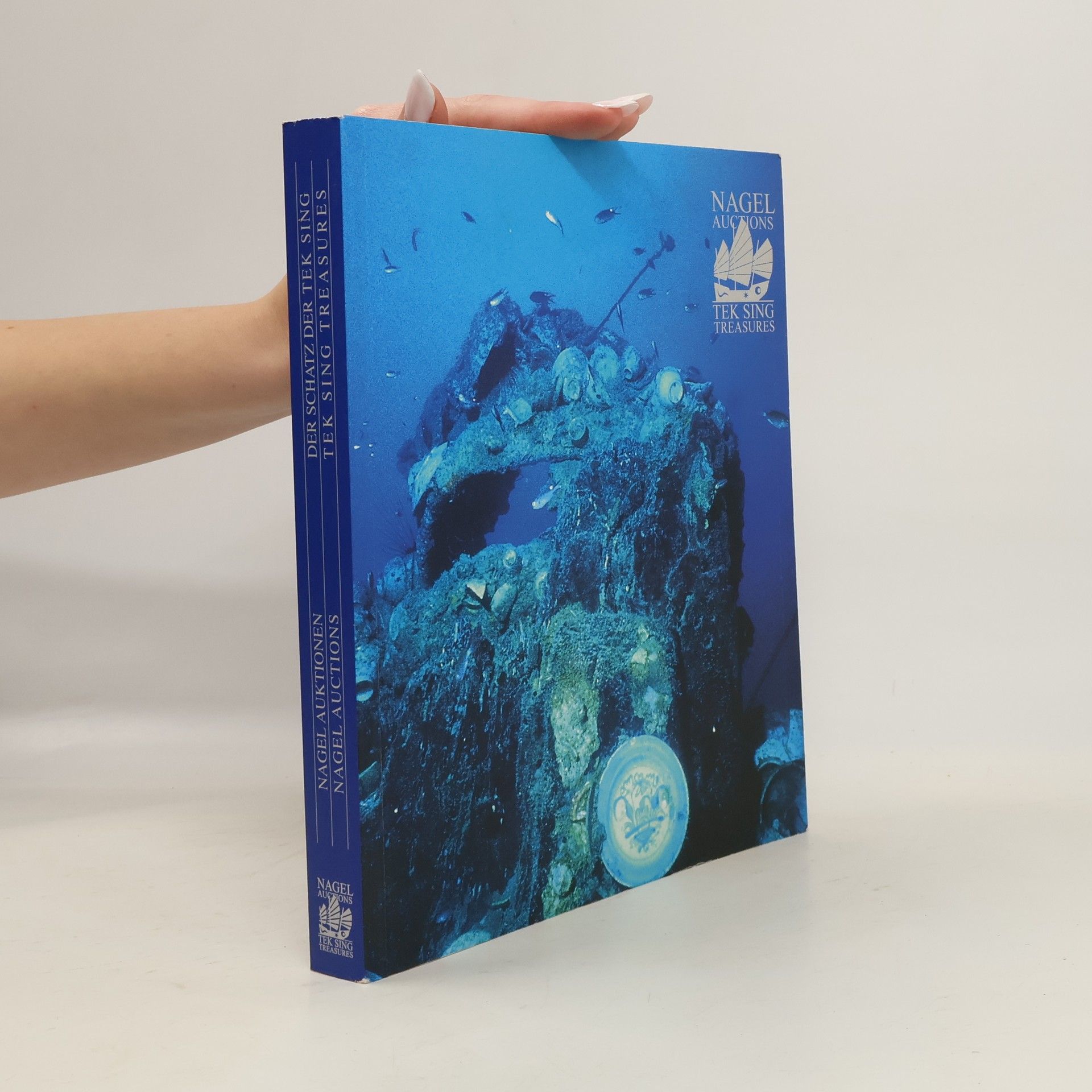 Autorenkollektiv Der Schatz der Tek Sing