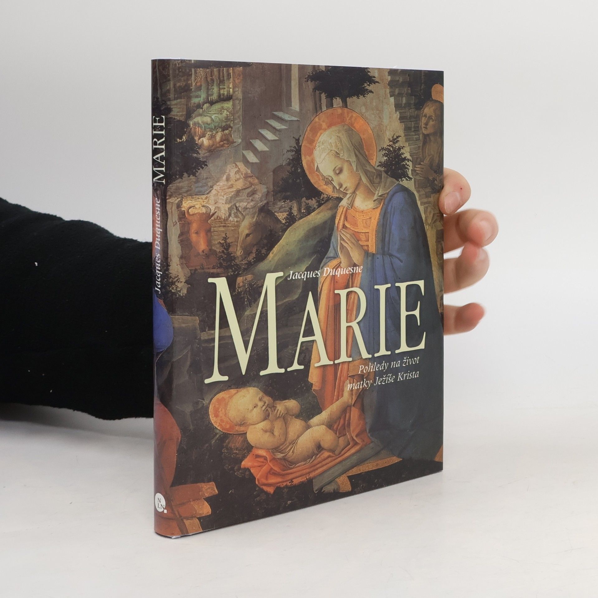 Jacques Duquesne Marie - Pohledy na život matky Ježíše Krista