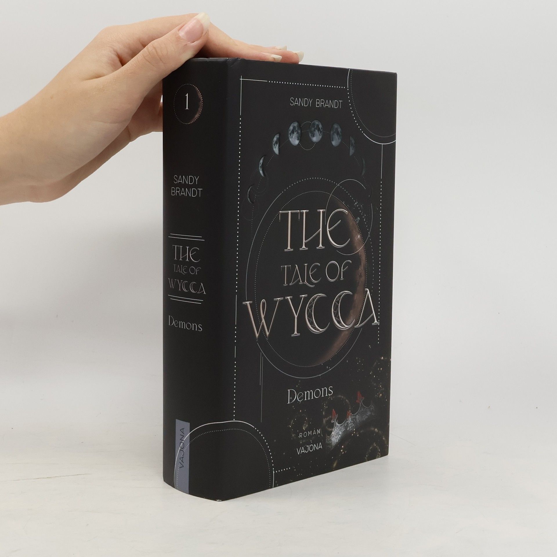 Sandy Brandt THE TALE OF WYCCA: Demons (WYCCA-Reihe 1)