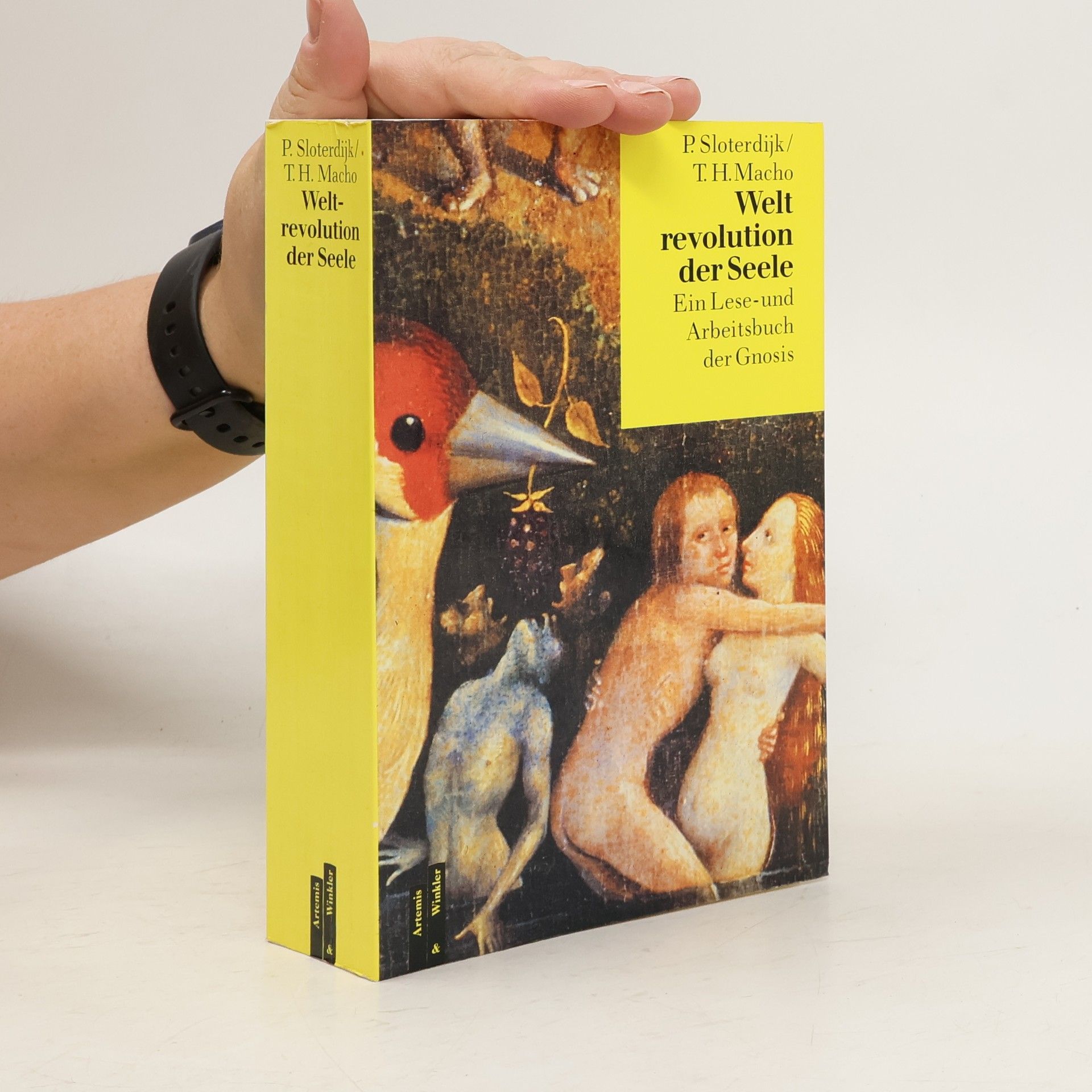 Peter Sloterdijk Weltrevolution der Seele