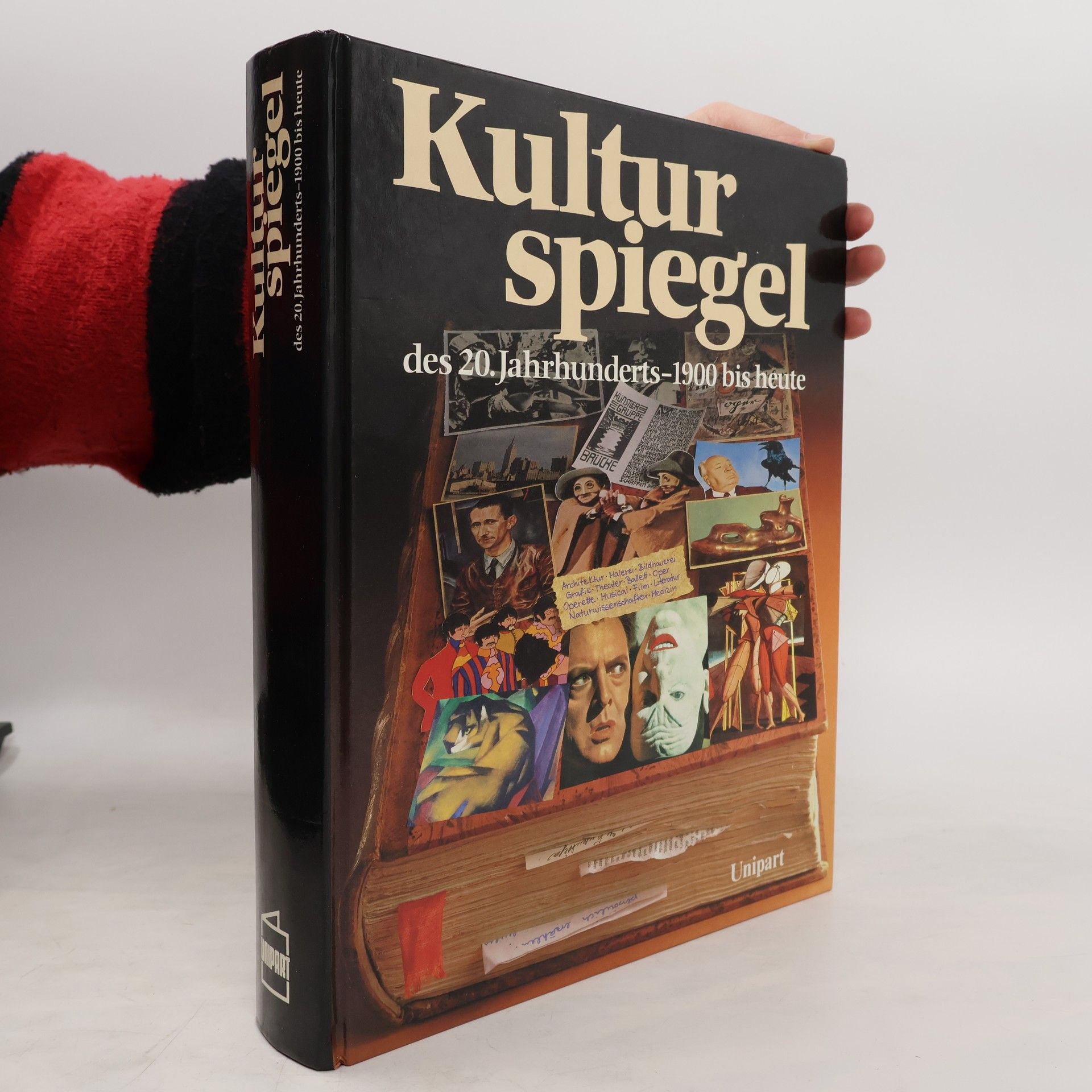 Kolektiv autorů Kulturspiegel des 20. Jahrhunderts