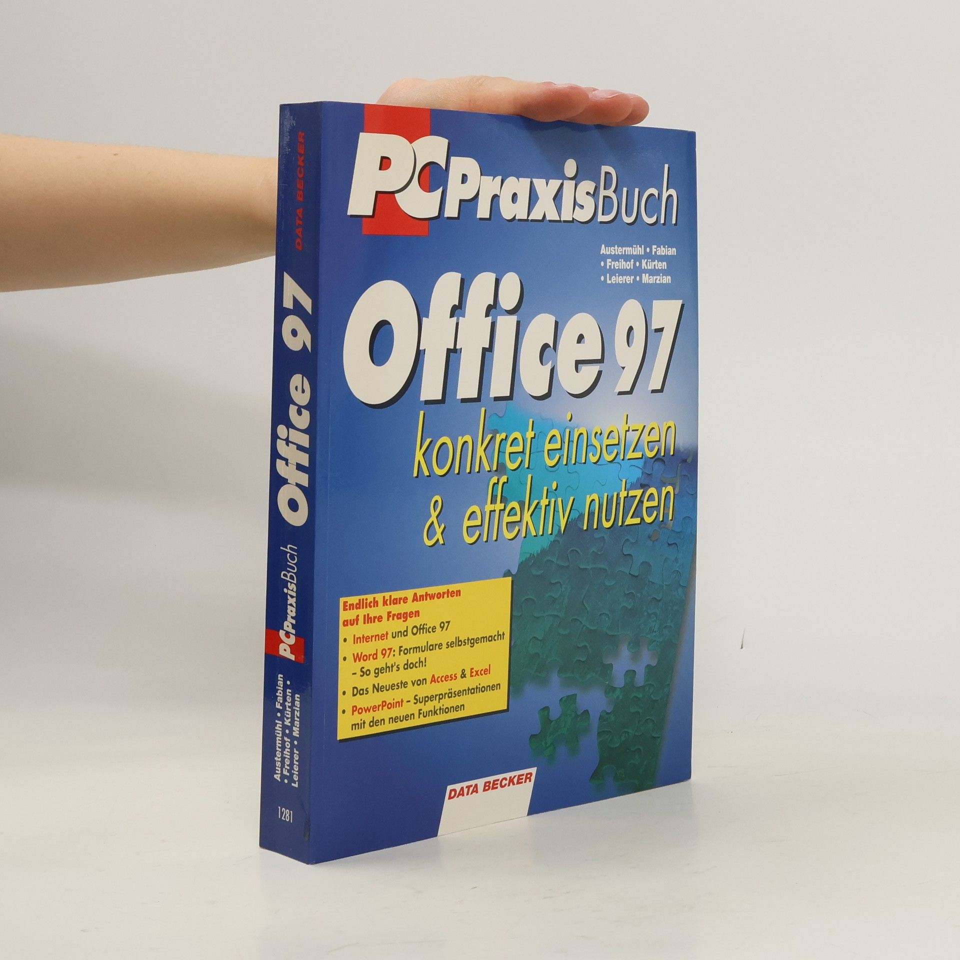 Frank Austermühl Office 97