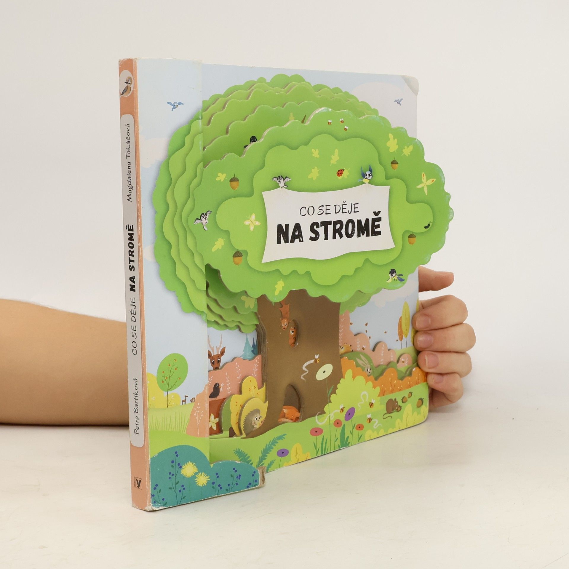 Petra Bartíková Co se děje na stromě