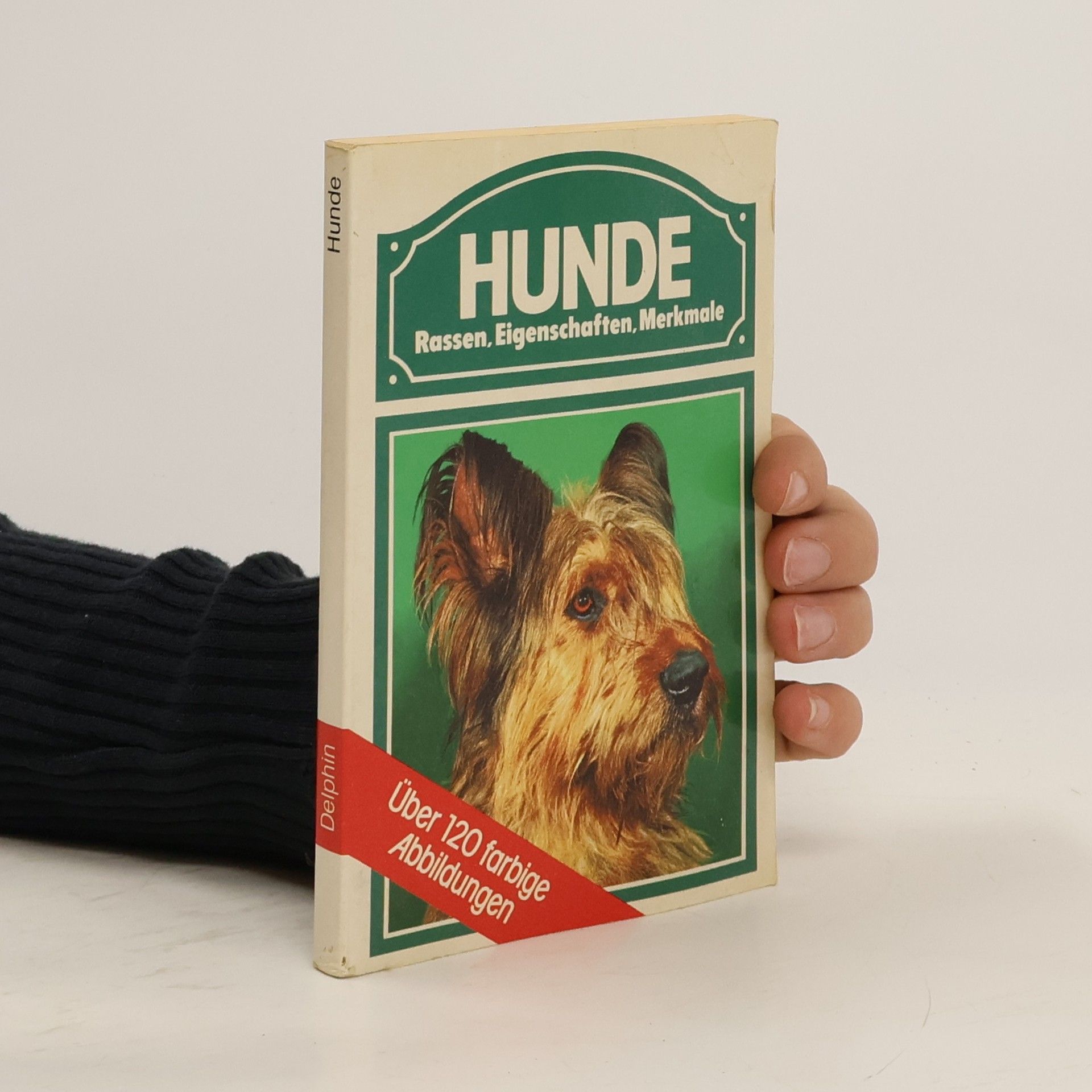Lucien Guillot Hunde