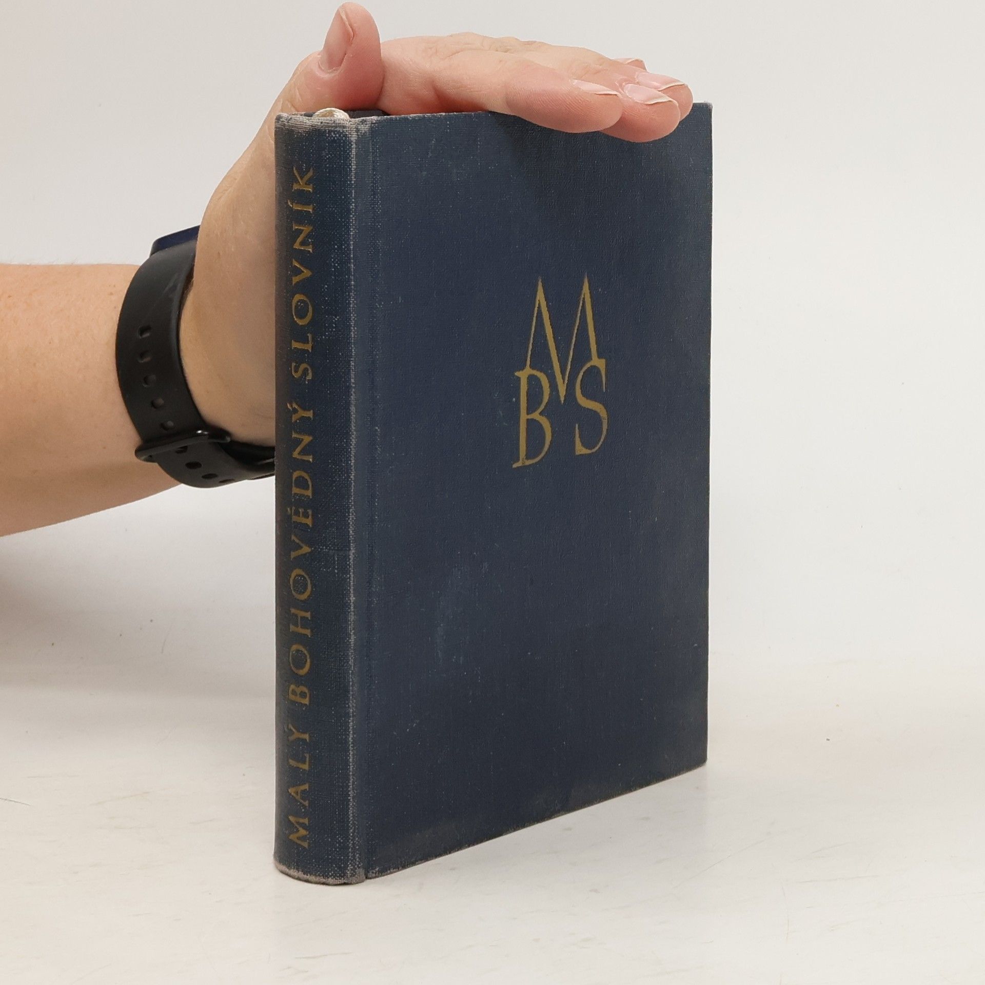 Autores varios Malý bohovědný slovník