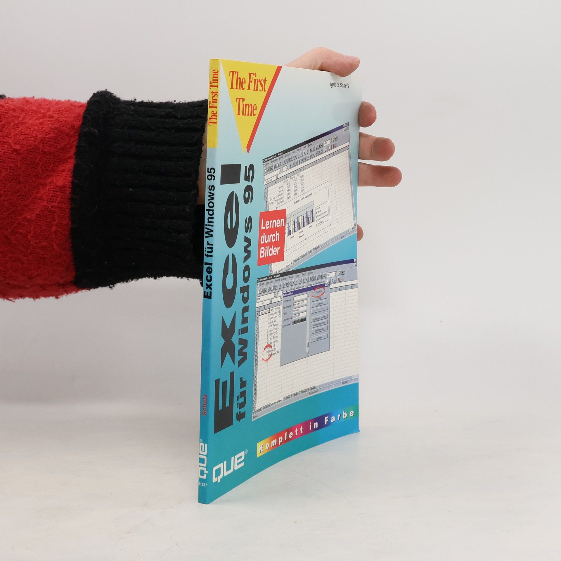 Ignatz Schels Excel für Windows 95