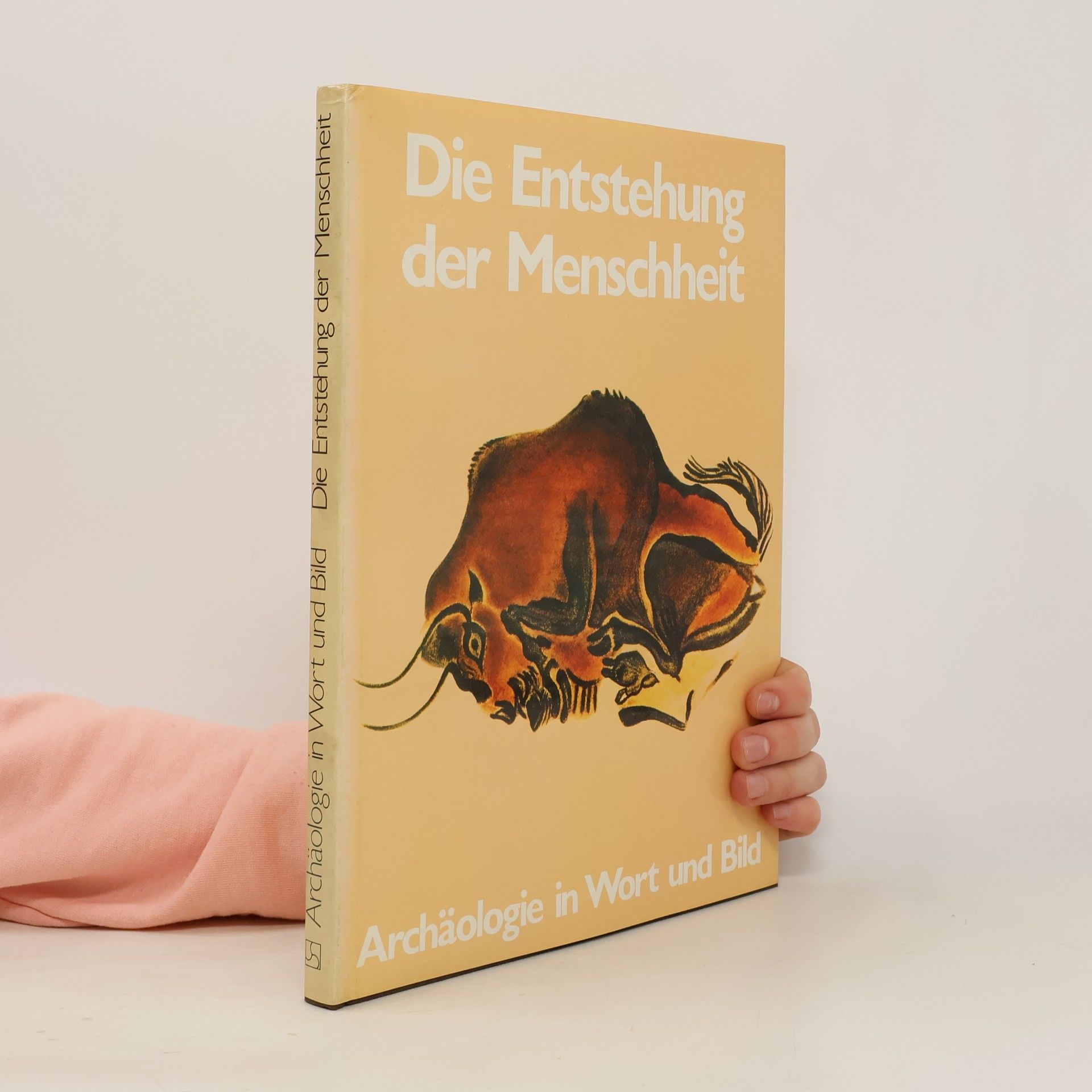 John Waechter Die Entstehung der Menschheit