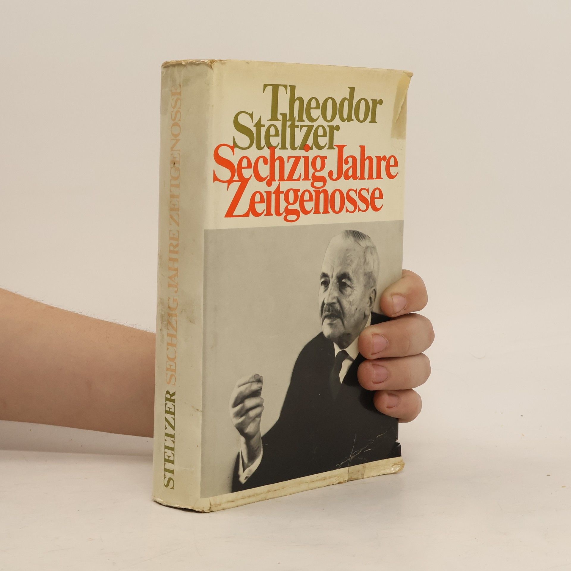 Theodor Steltzer Sechzig Jahre Zeitgenosse