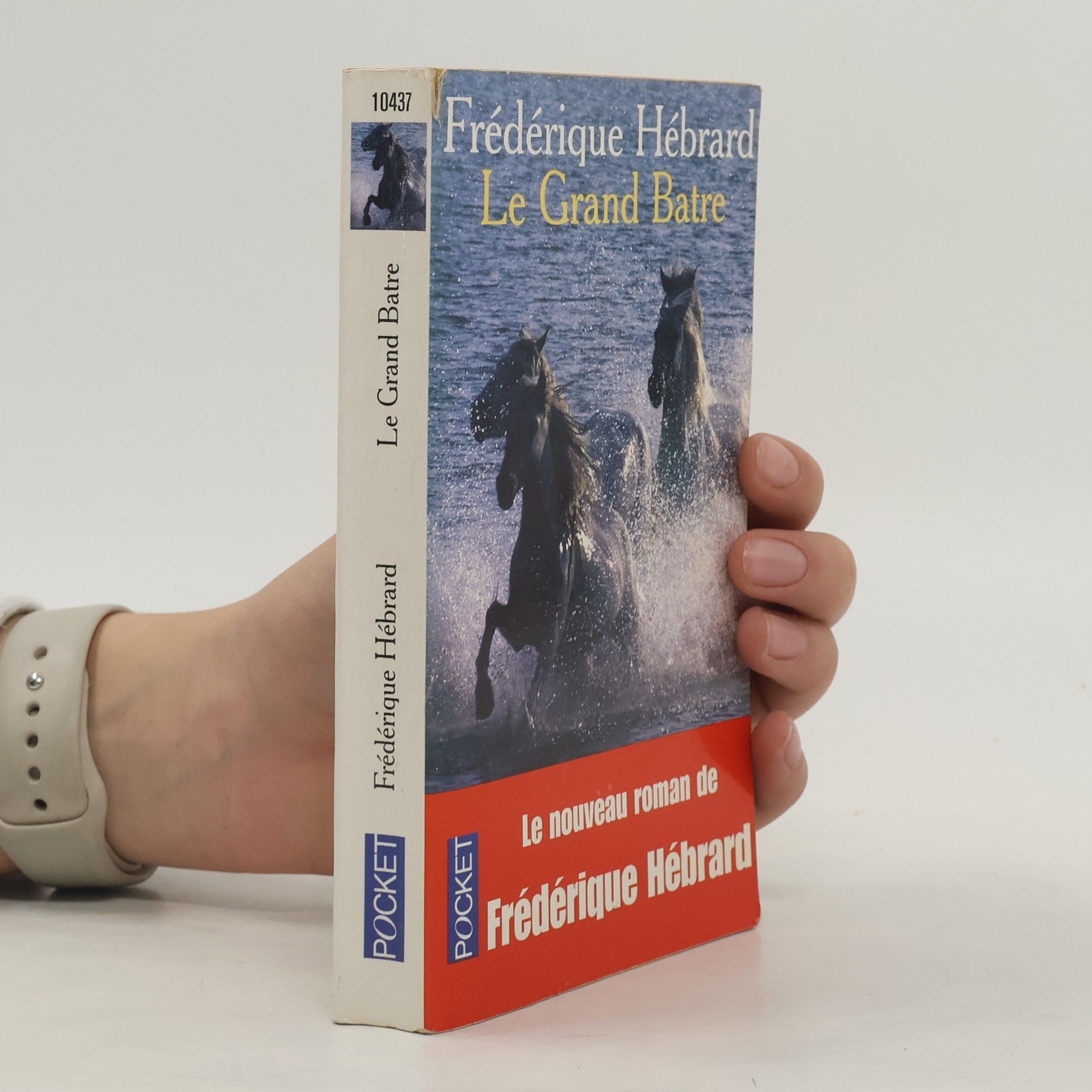 Frédérique Hébrard Le Grand Batre