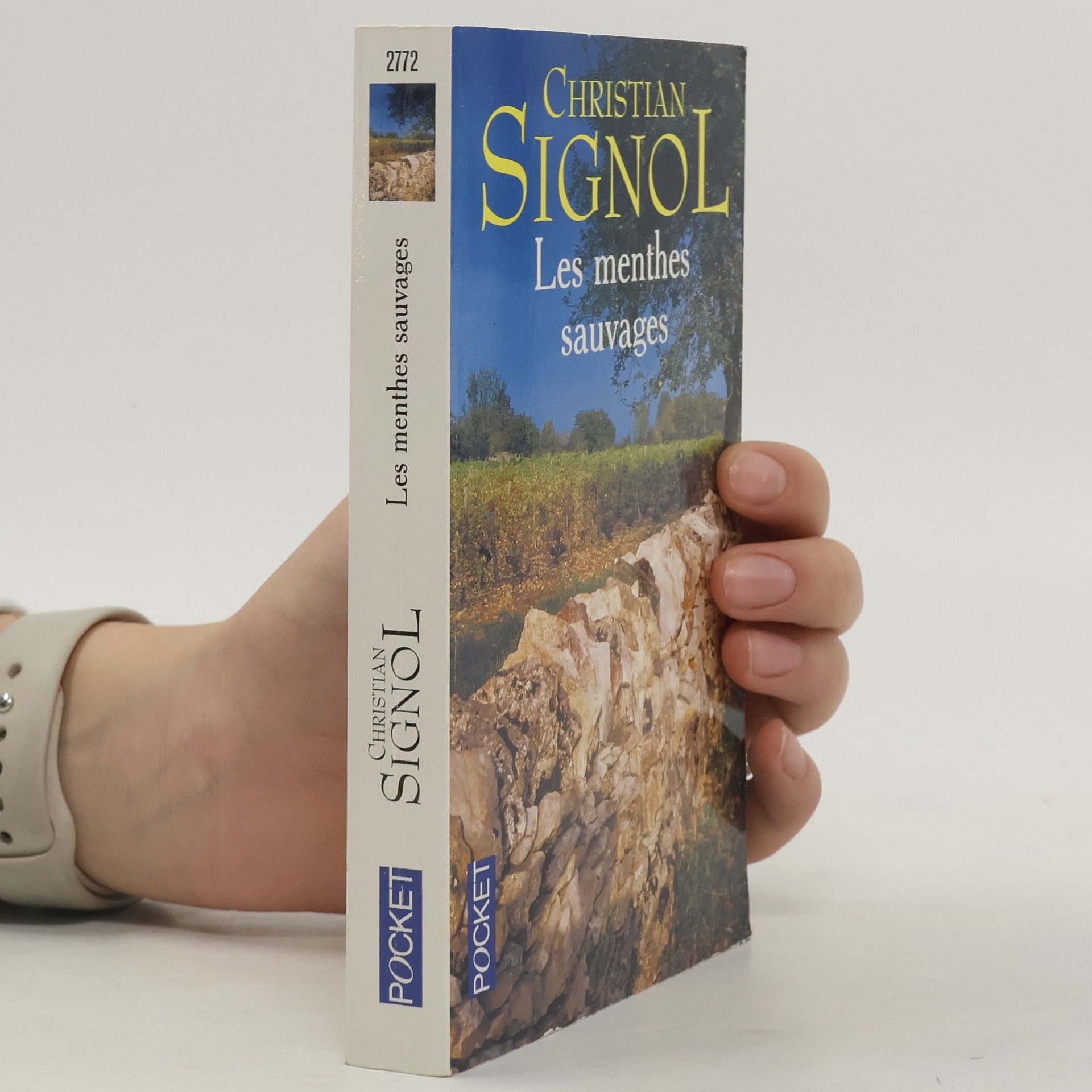 Christian Signol Les Menthes Sauvages