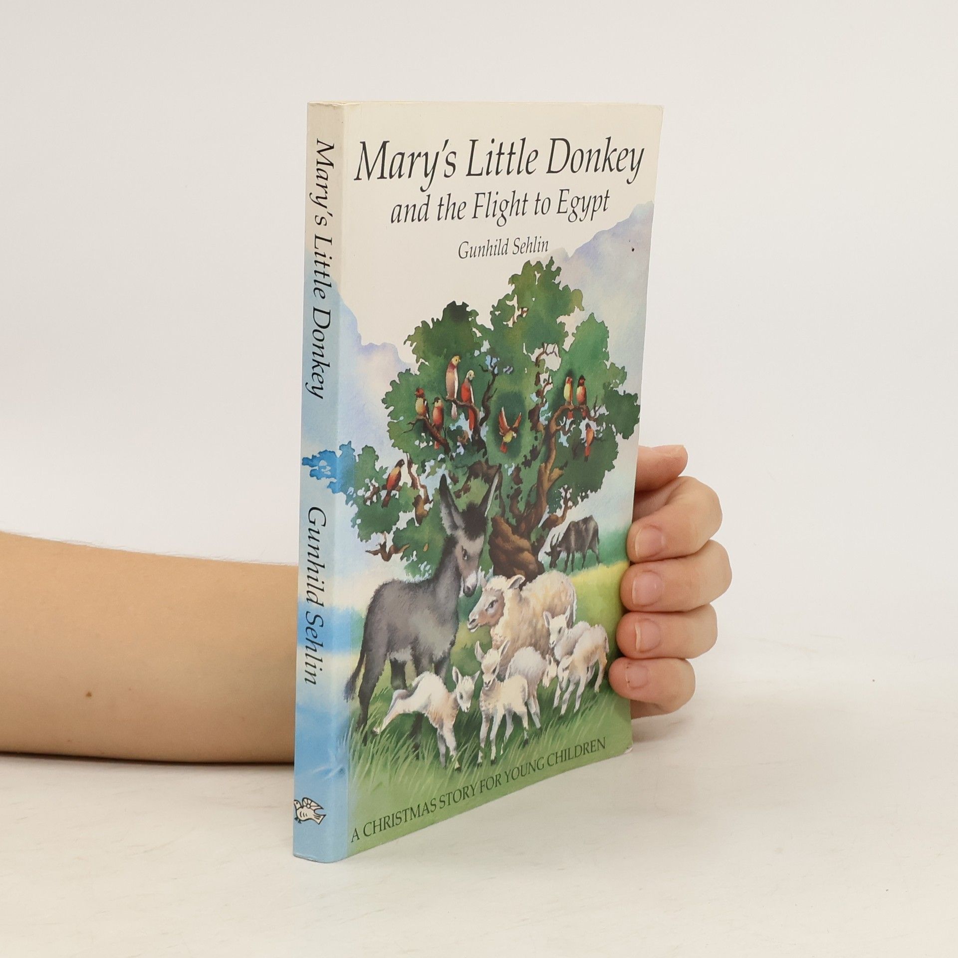 Mary's Little Donkey and the Flight to Egypt
