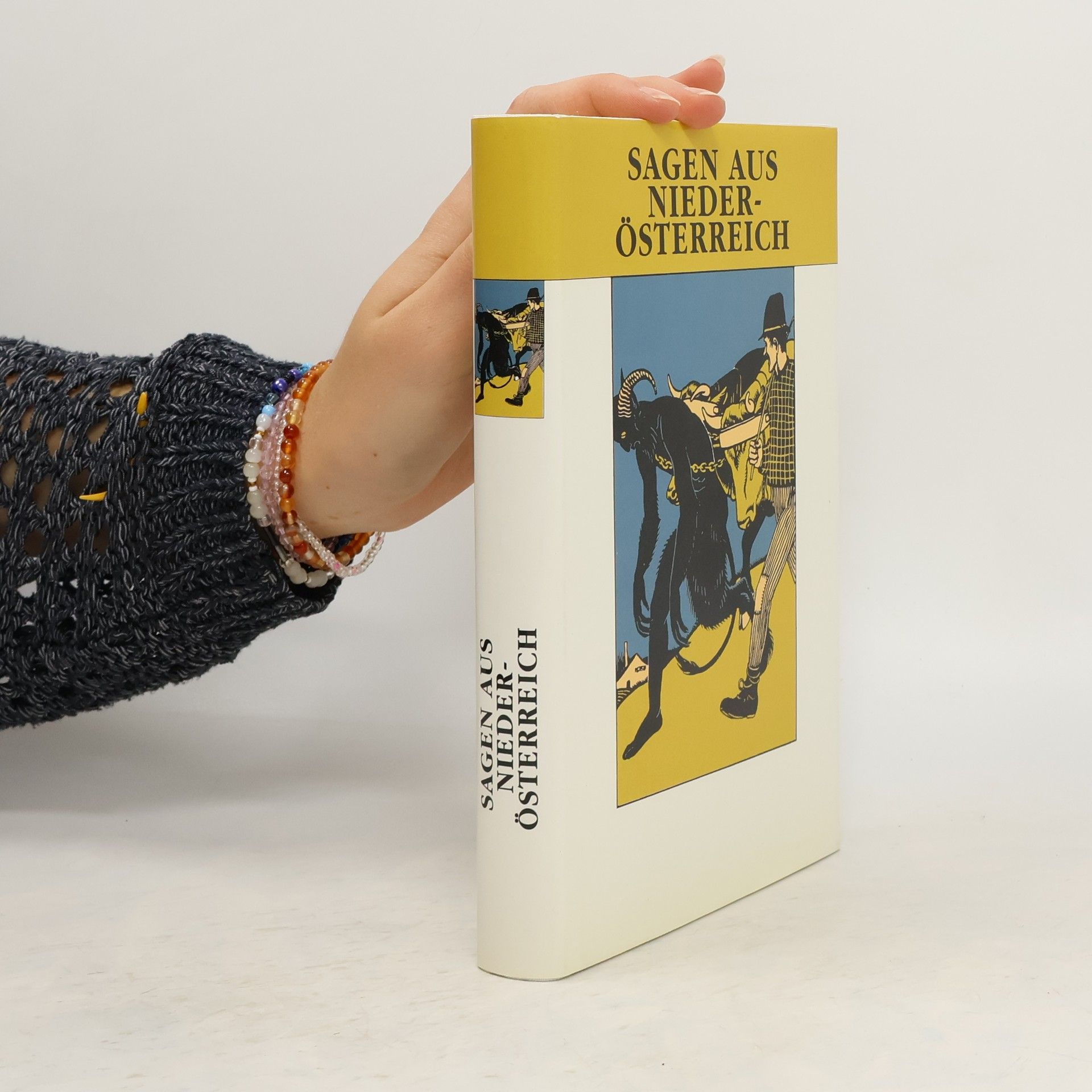 AA.VV. Sagen aus Niederösterreich