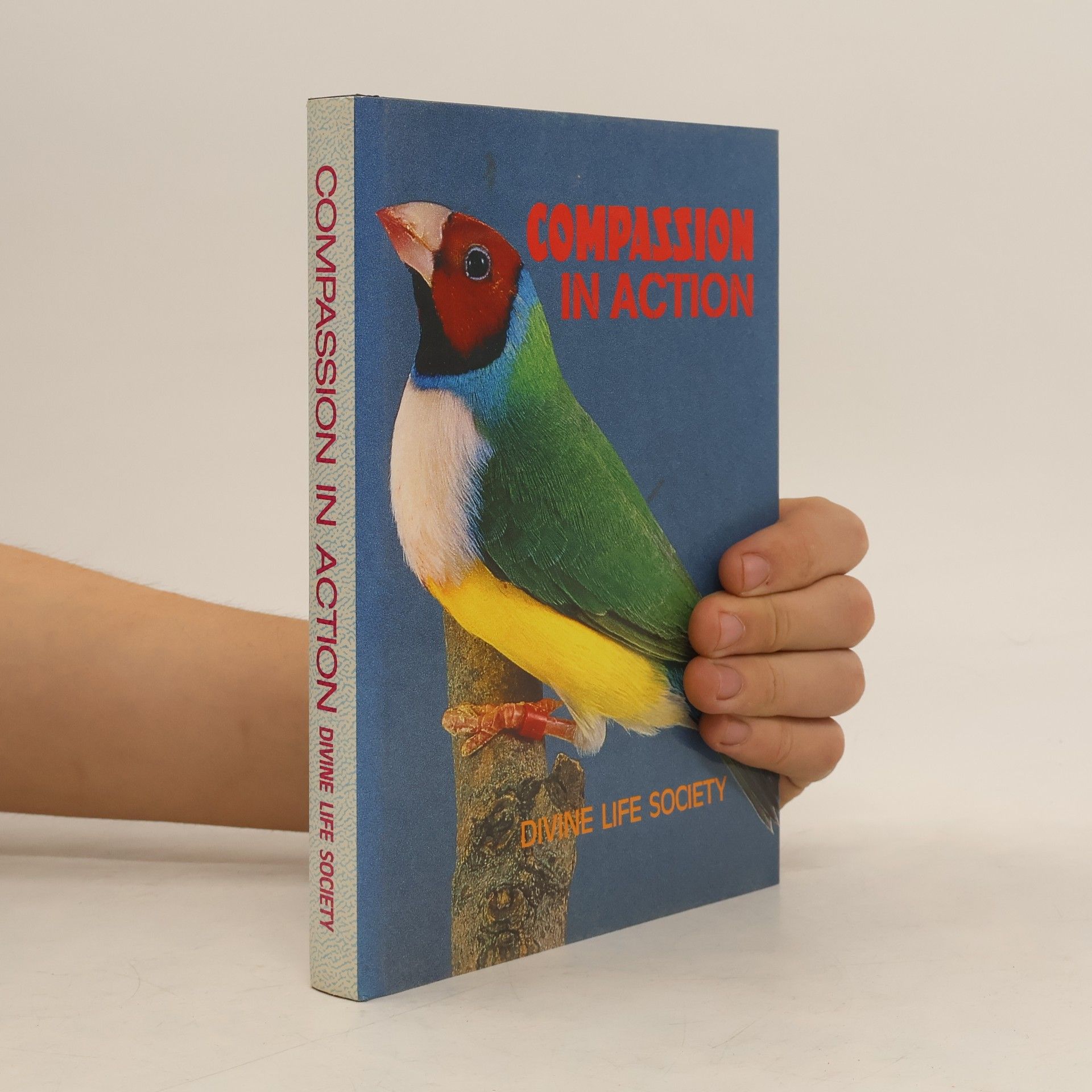 Compassion in Action