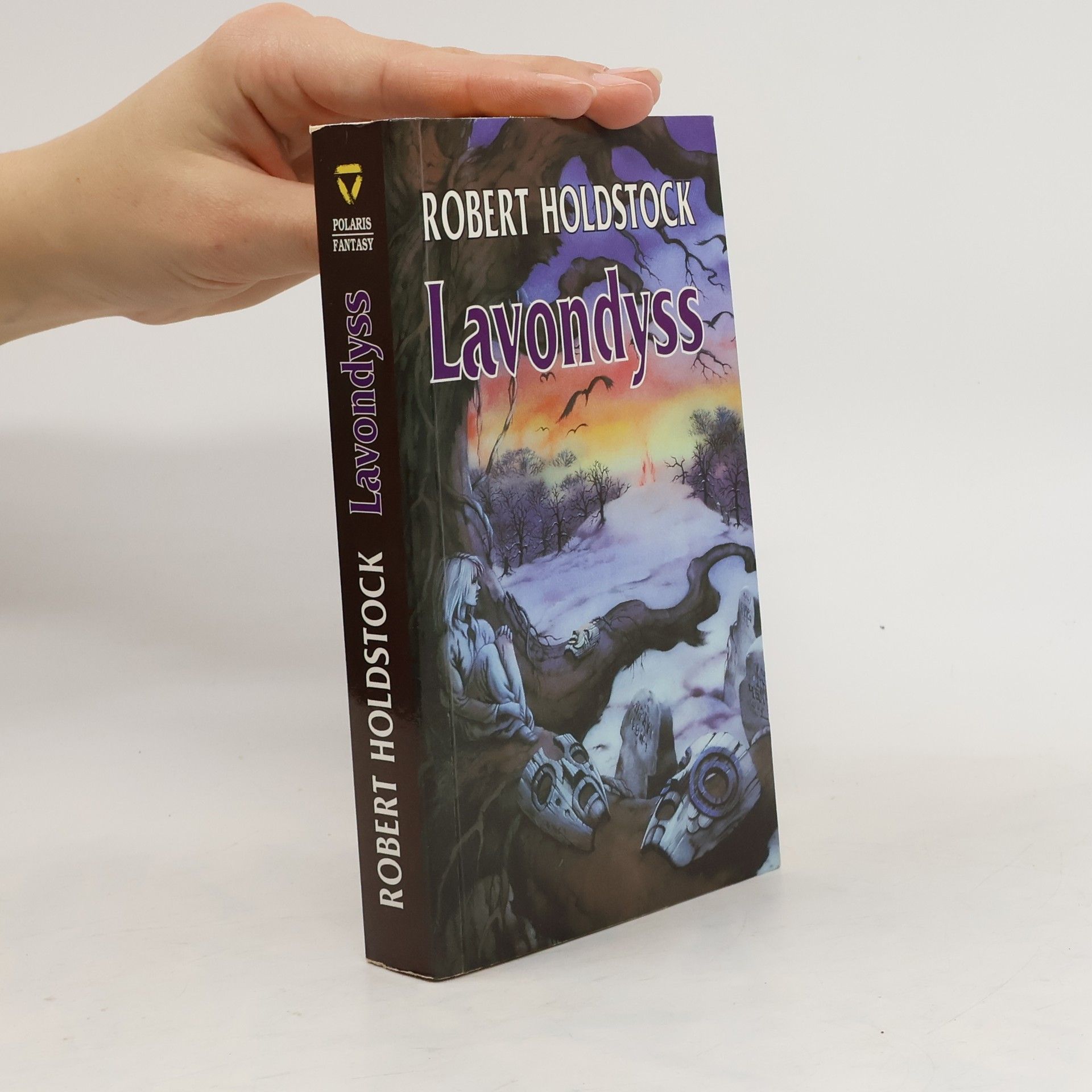 Robert Holdstock Lavondyss : cesta do neznámé země