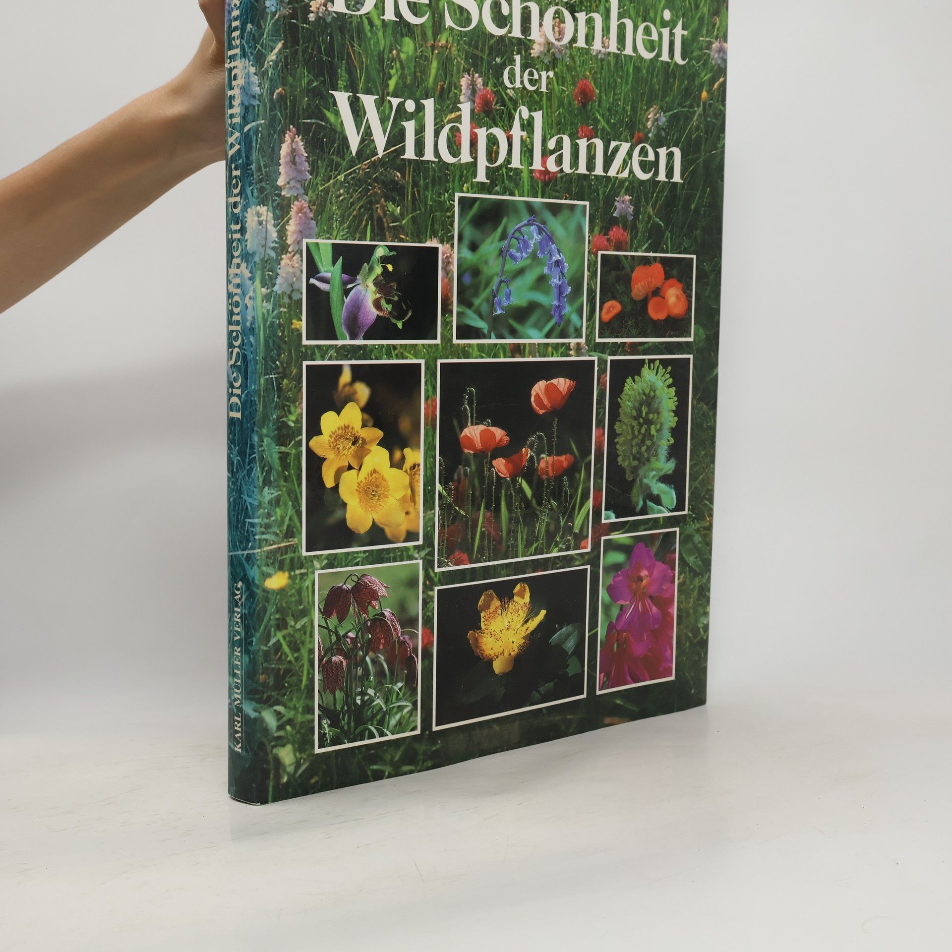 Andrew Bee Die Schönheit der Wildpflanzen