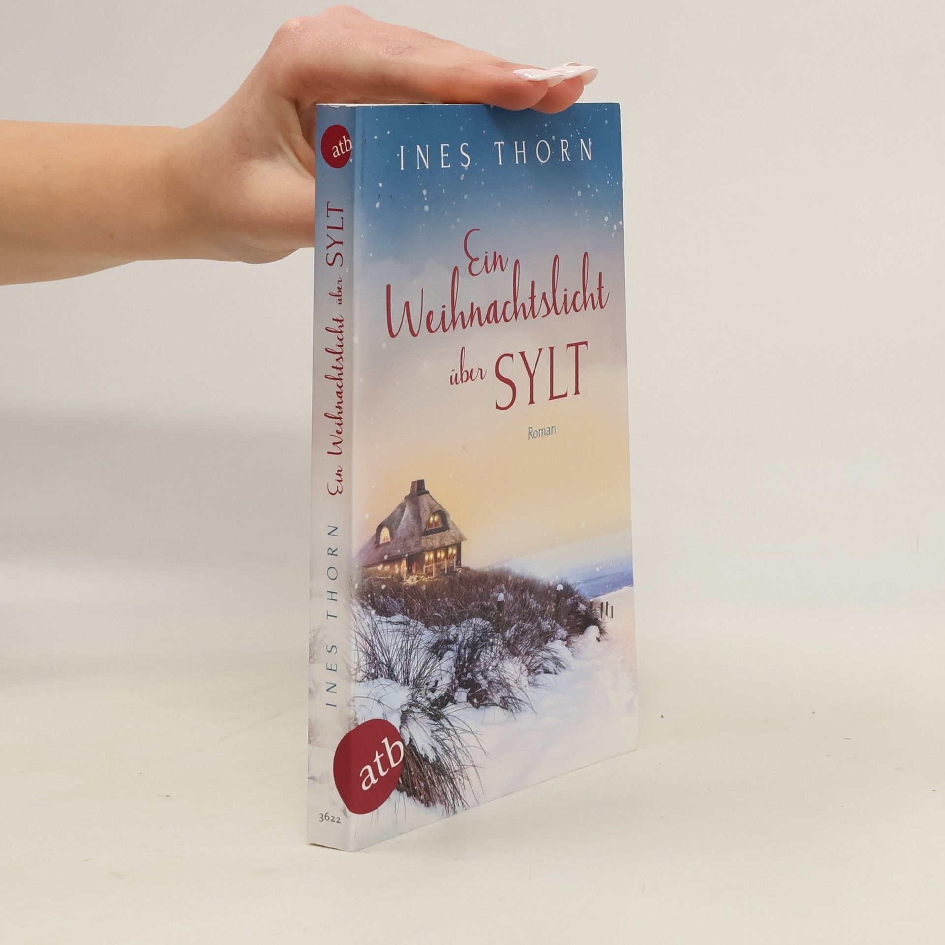 Ines Thorn Ein Weihnachtslicht über Sylt