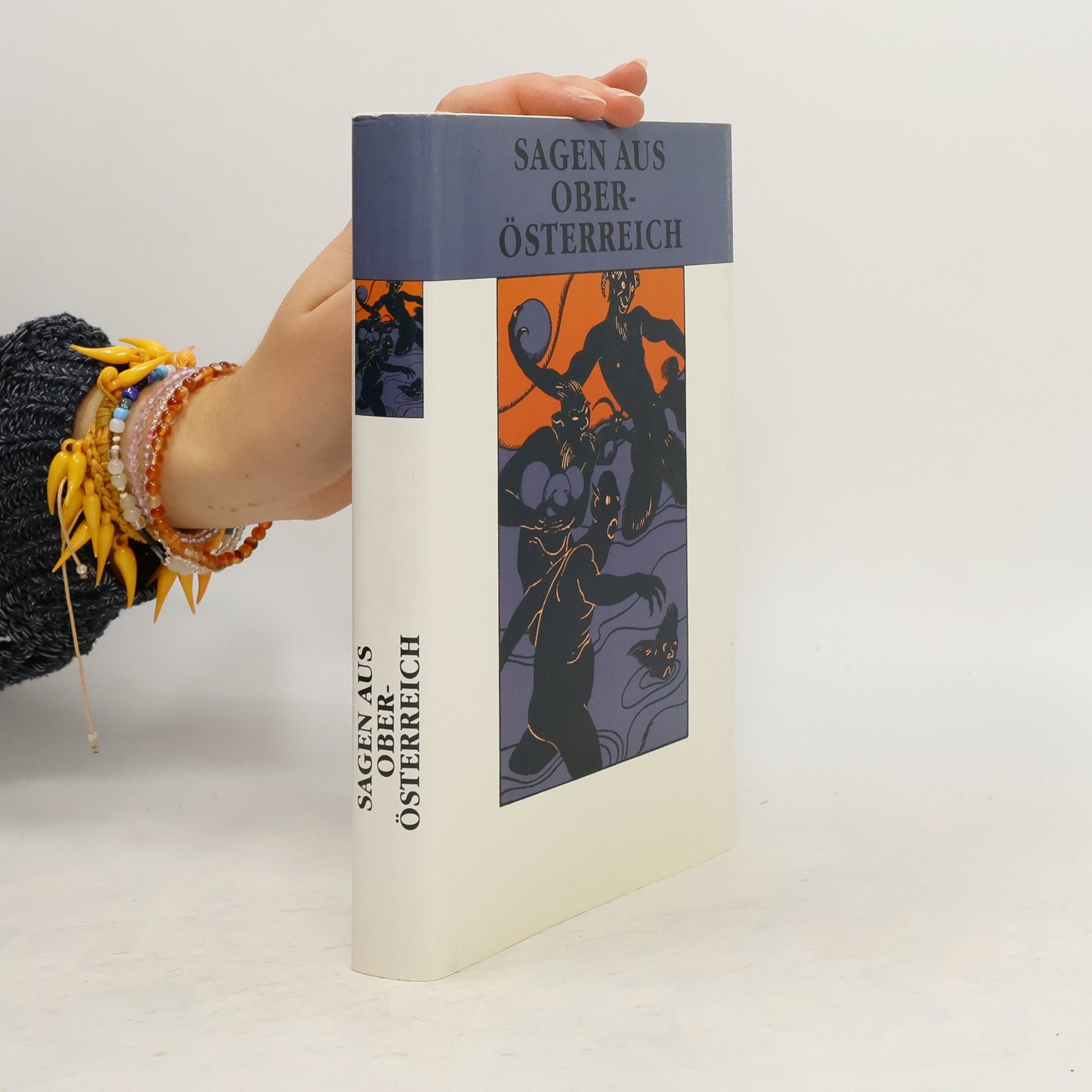 Autores varios Sagen aus Oberösterreich