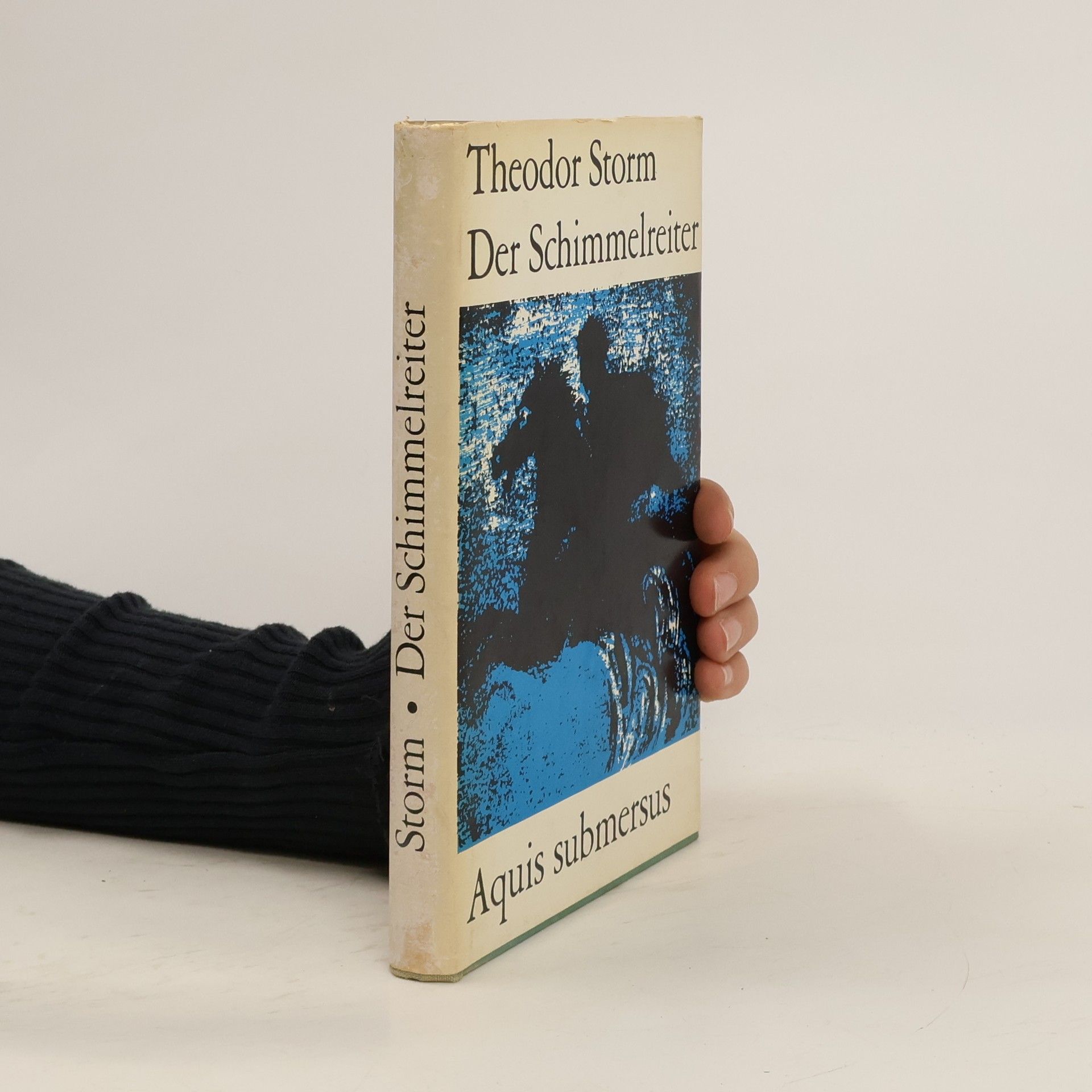 Theodor Storm Der Schimmelreiter. Aquis submersus
