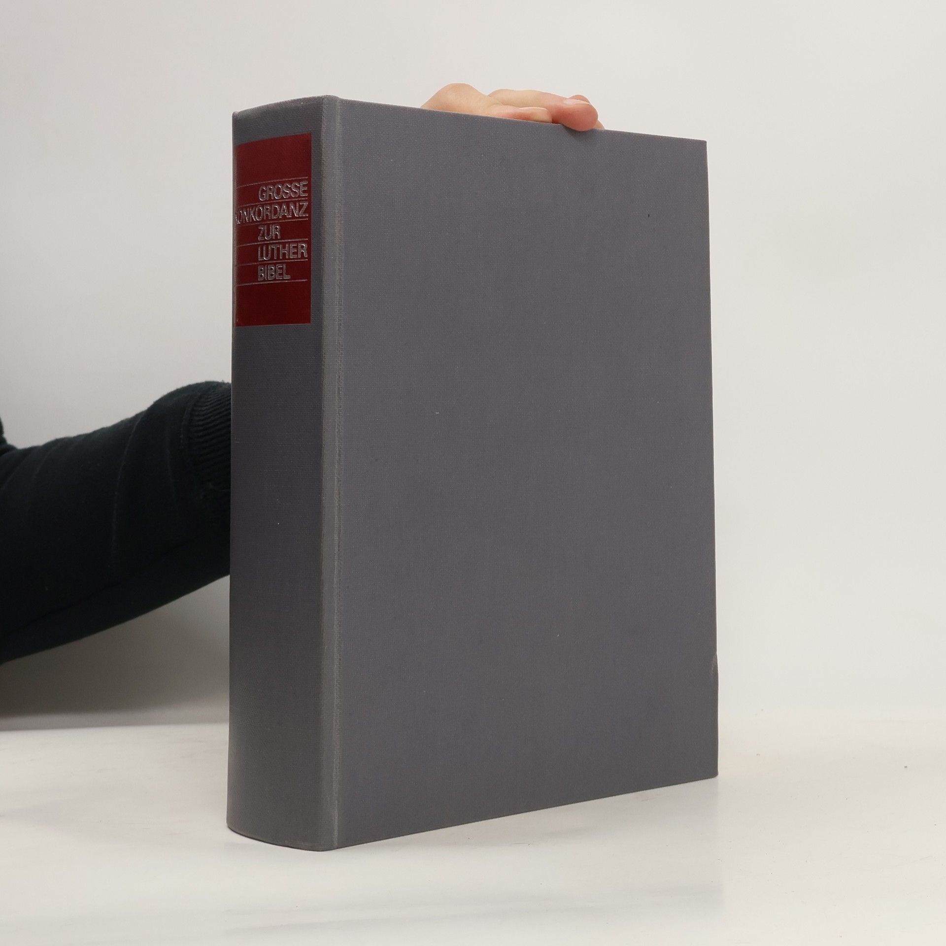 Autores varios Grosse Konkordanz zur Lutherbibel