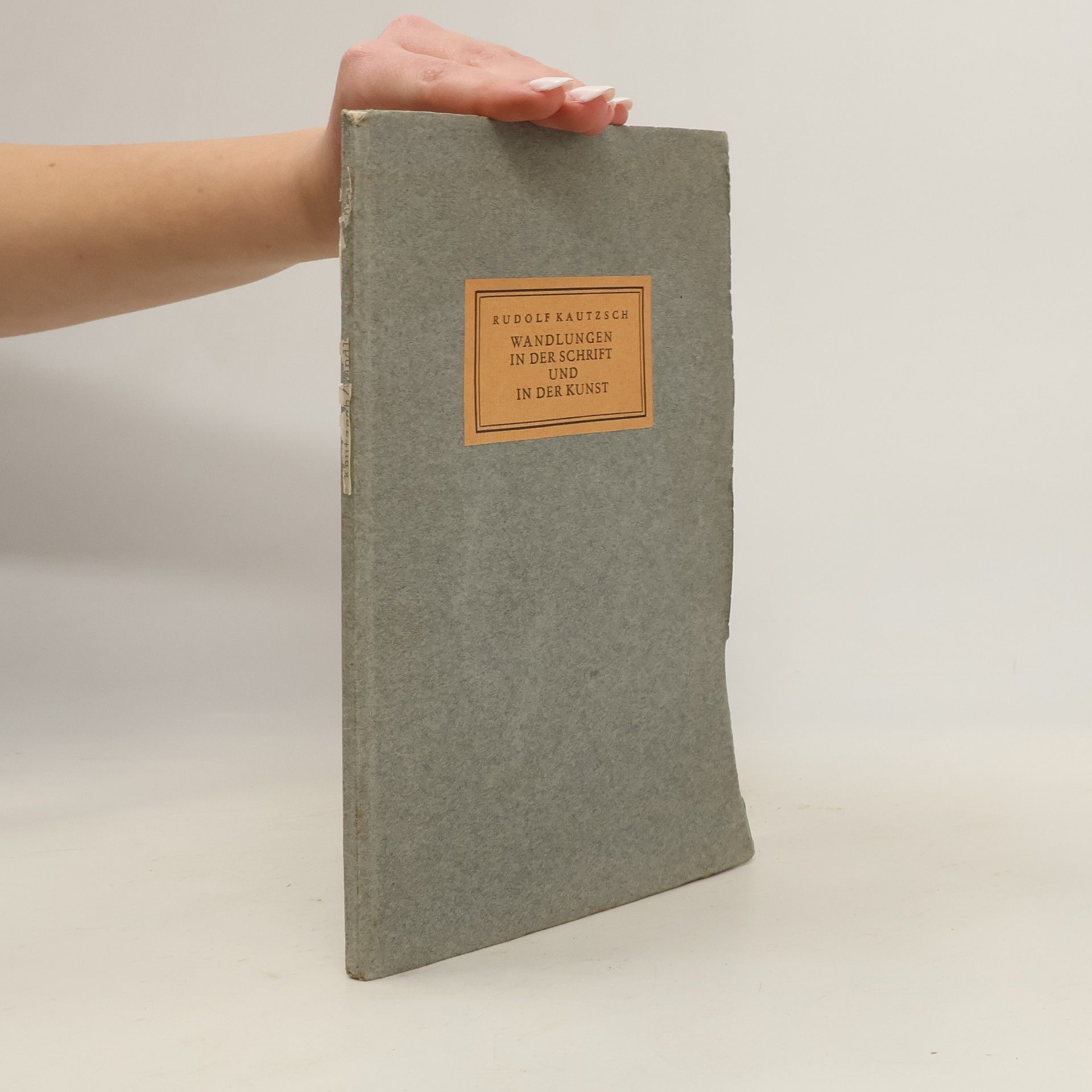 Wandlungen in der Schrift und in der Kunst