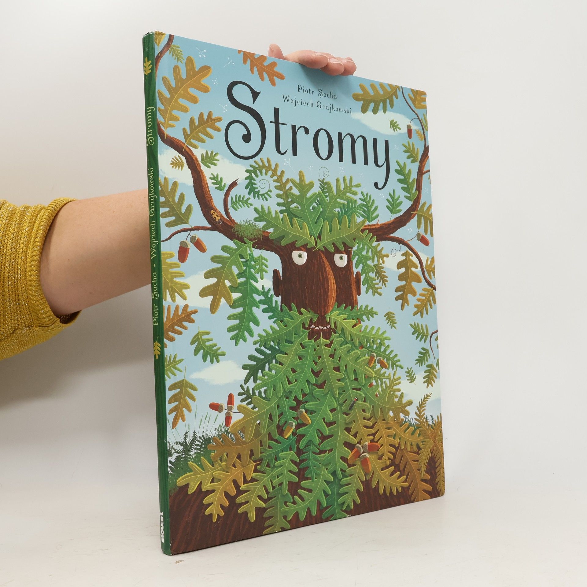 Piotr Socha Stromy