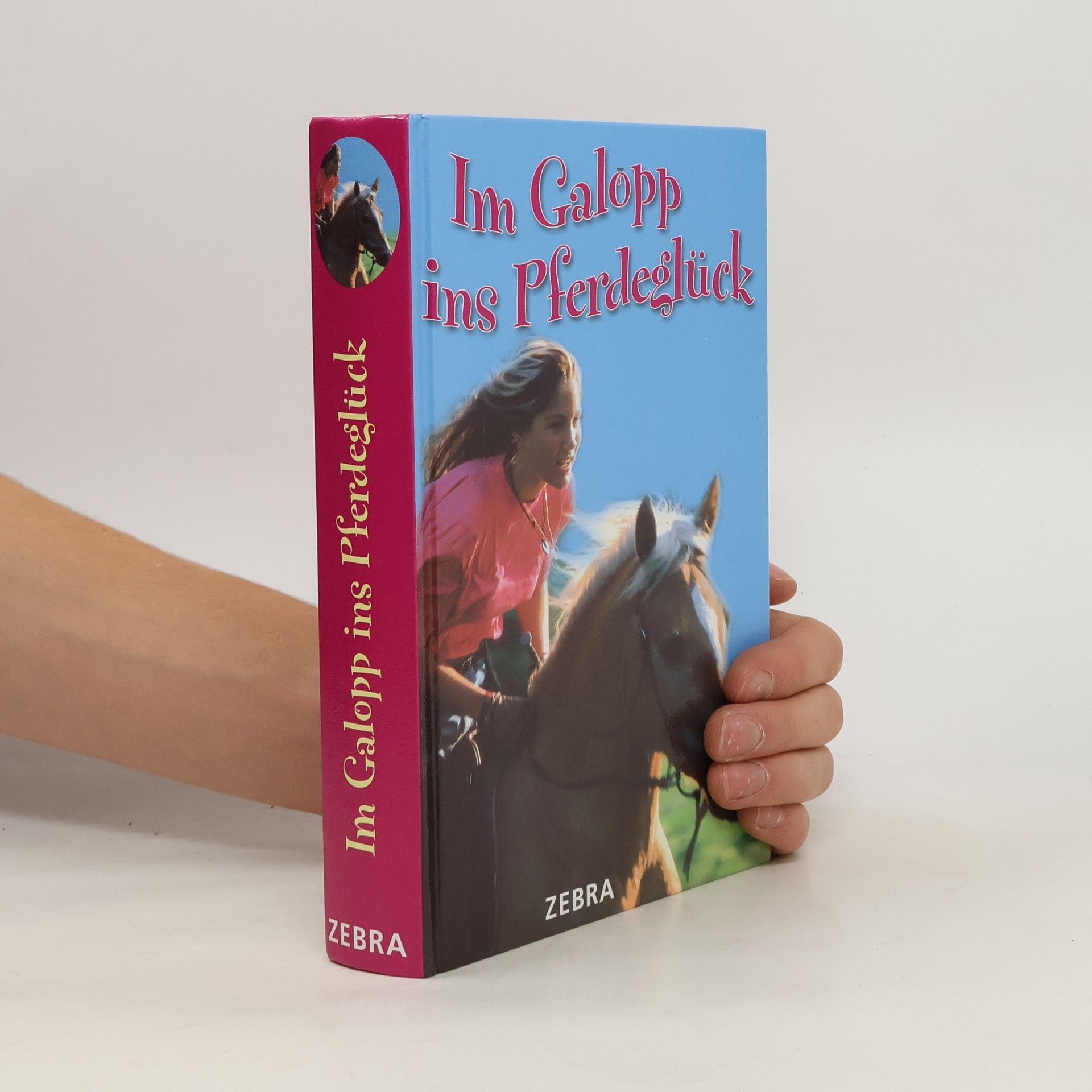 Anita Schorn Im Galopp ins Pferdeglück