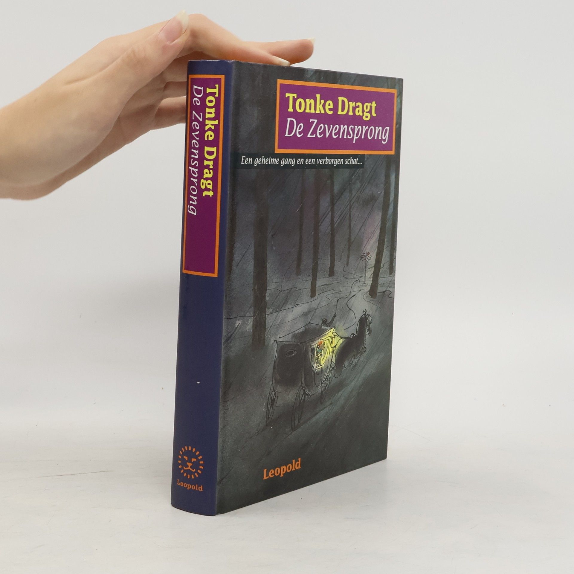 Tonke Dragt De zevensprong