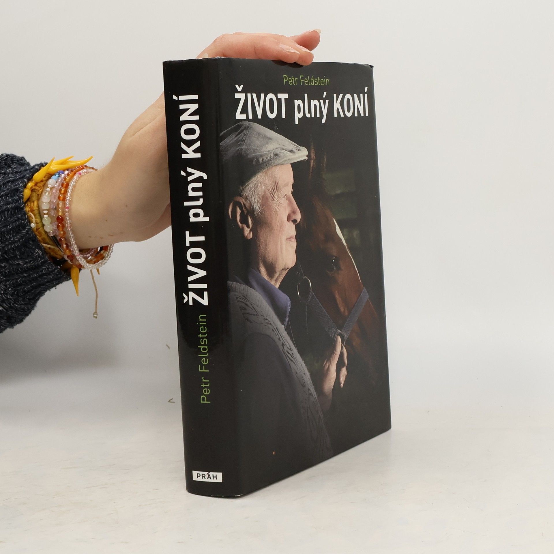 Petr Feldstein Život plný koní