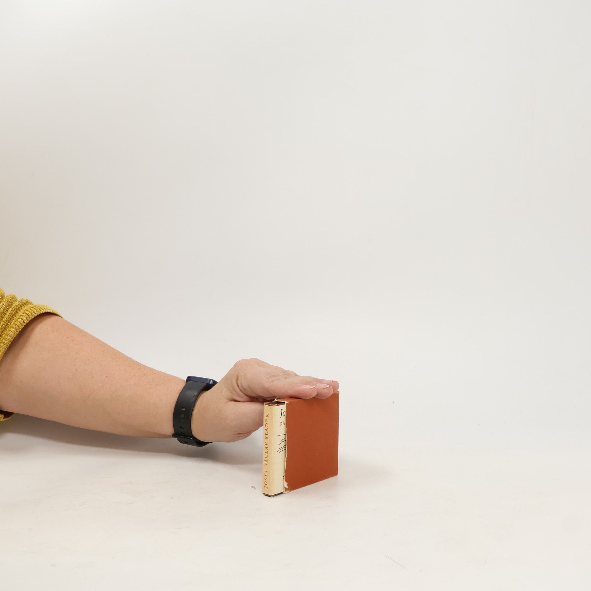 Josef Václav Sládek Radost i hoře