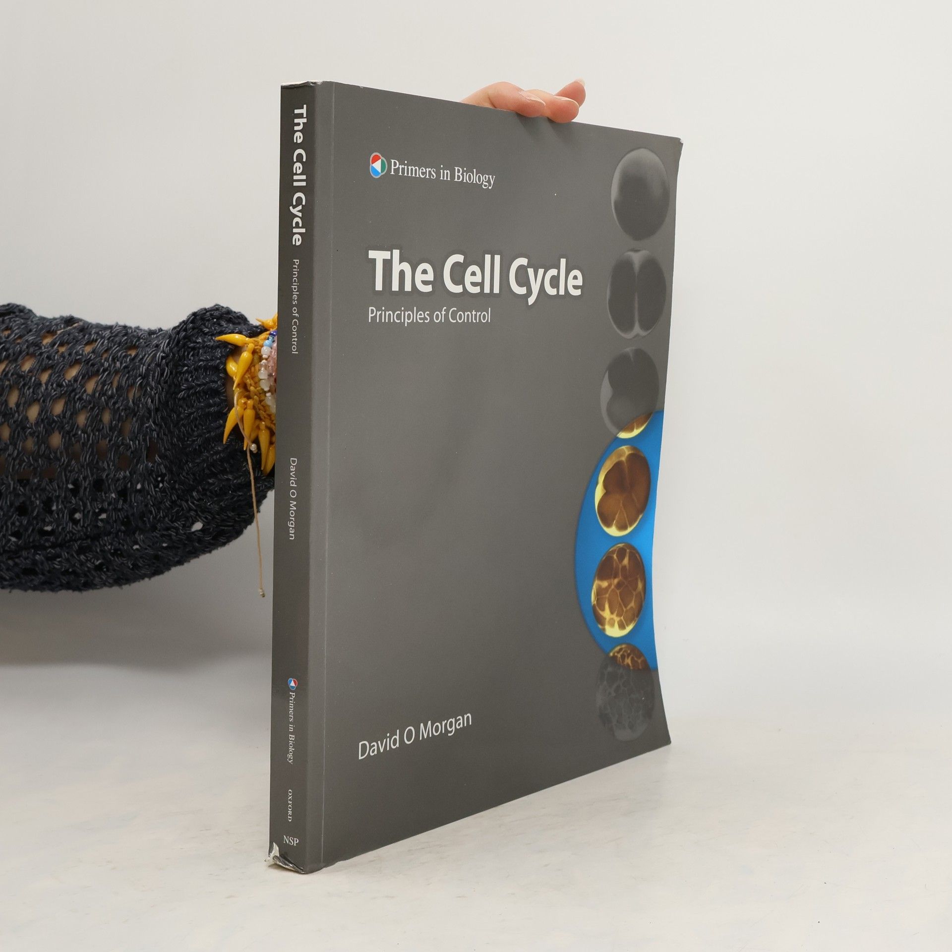 David Owen Morgan The Cell Cycle