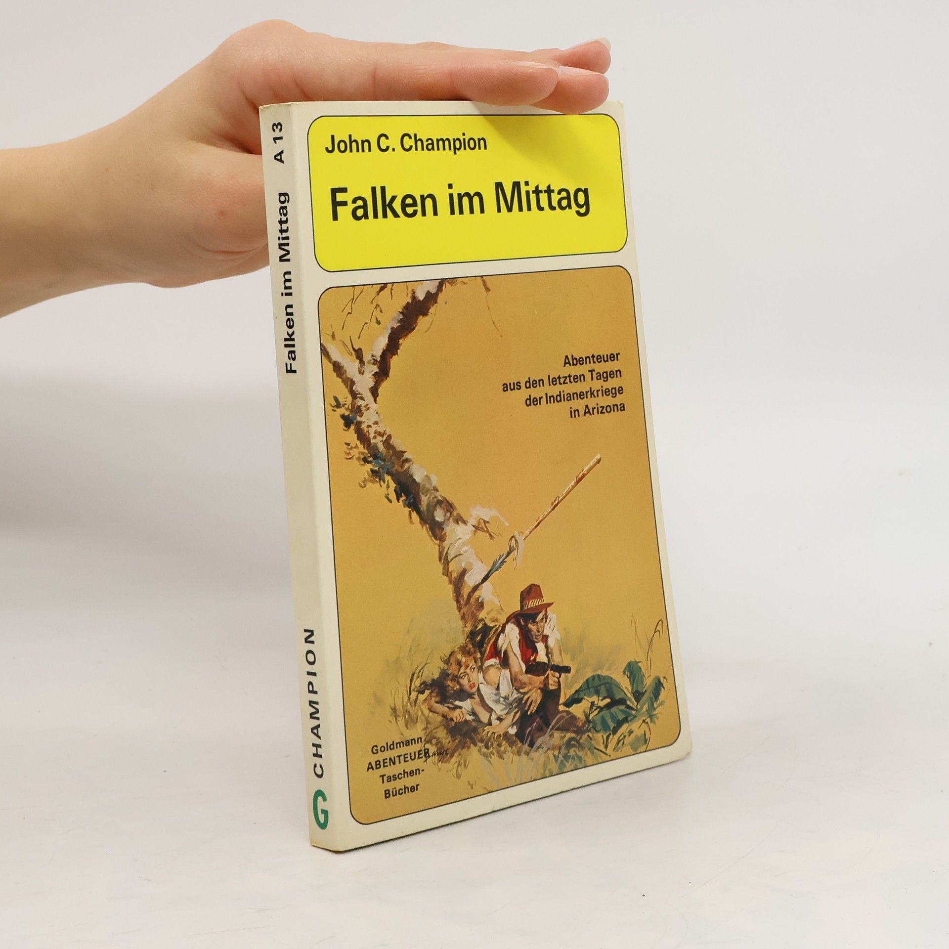 John C. Champion Falken im Mittag