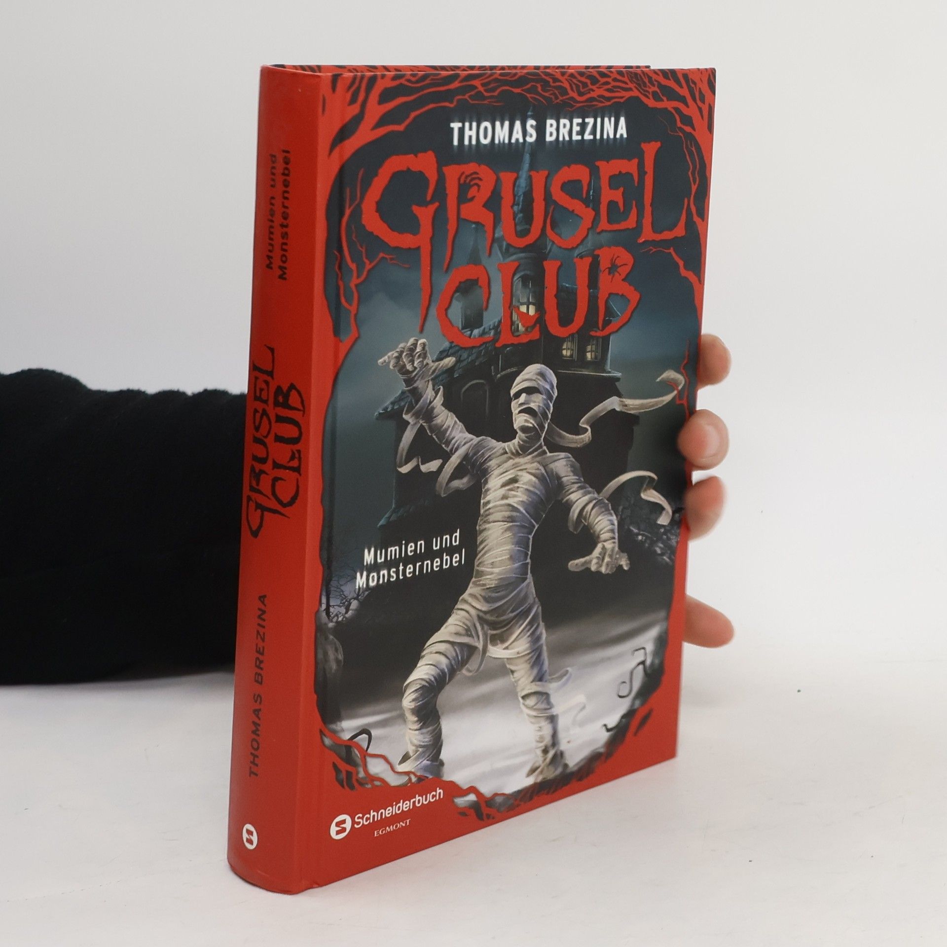 Thomas Brezina Grusel-Club, Dem Spuk auf der Spur - Mumien und Monsternebel