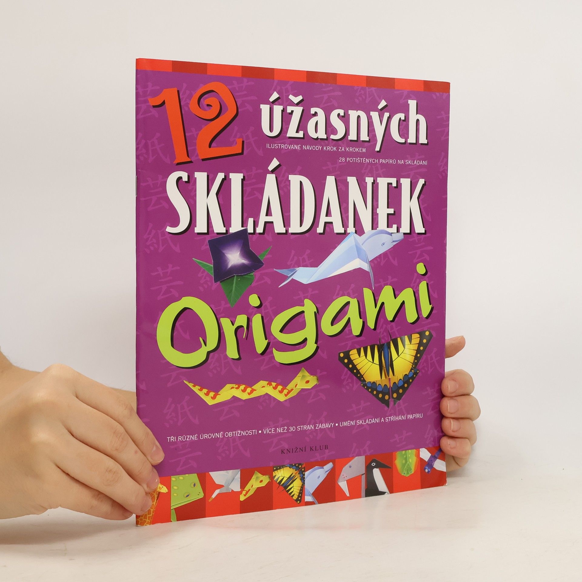 Various authors 12 úžasných skládanek origami