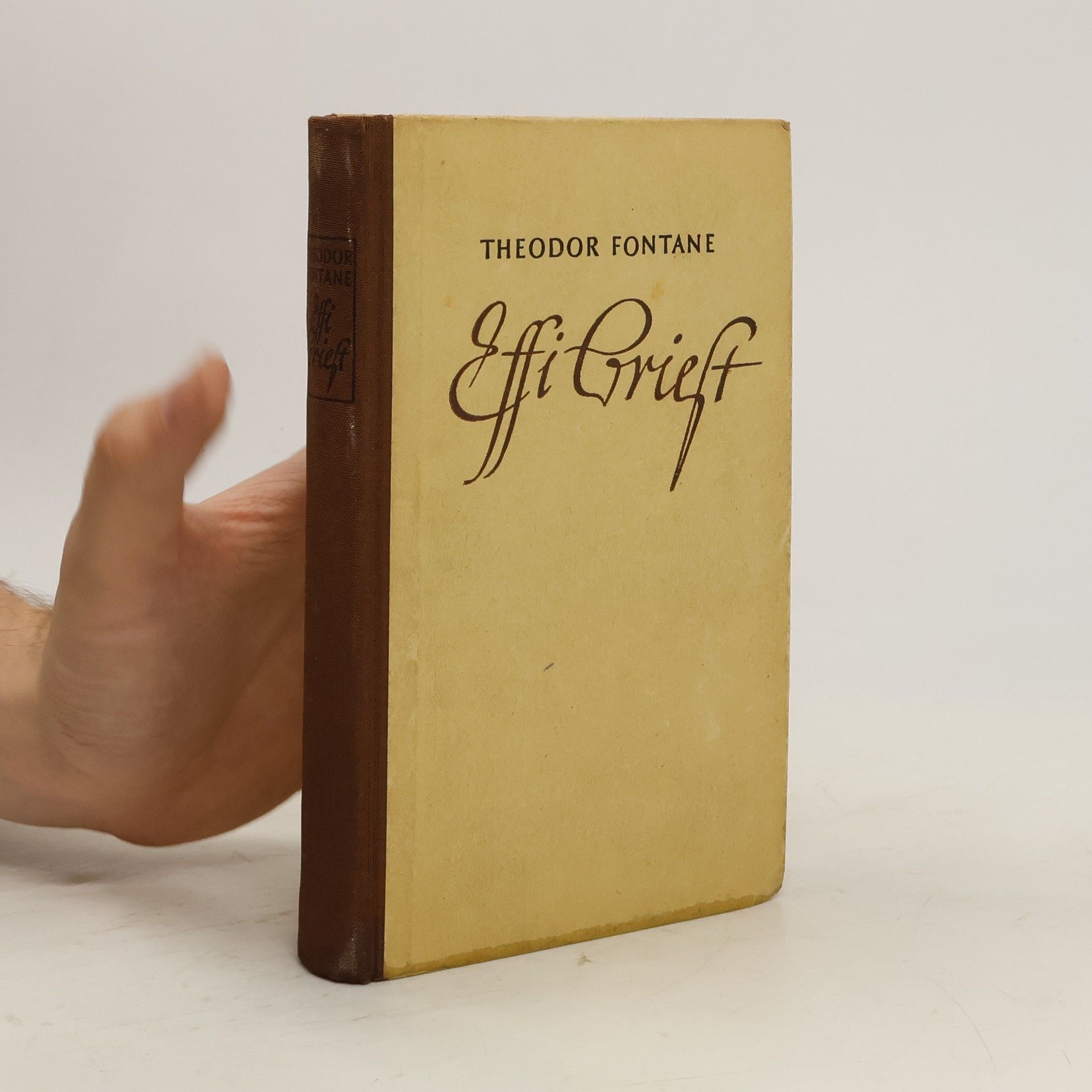 Theodor Fontane Effi Briest