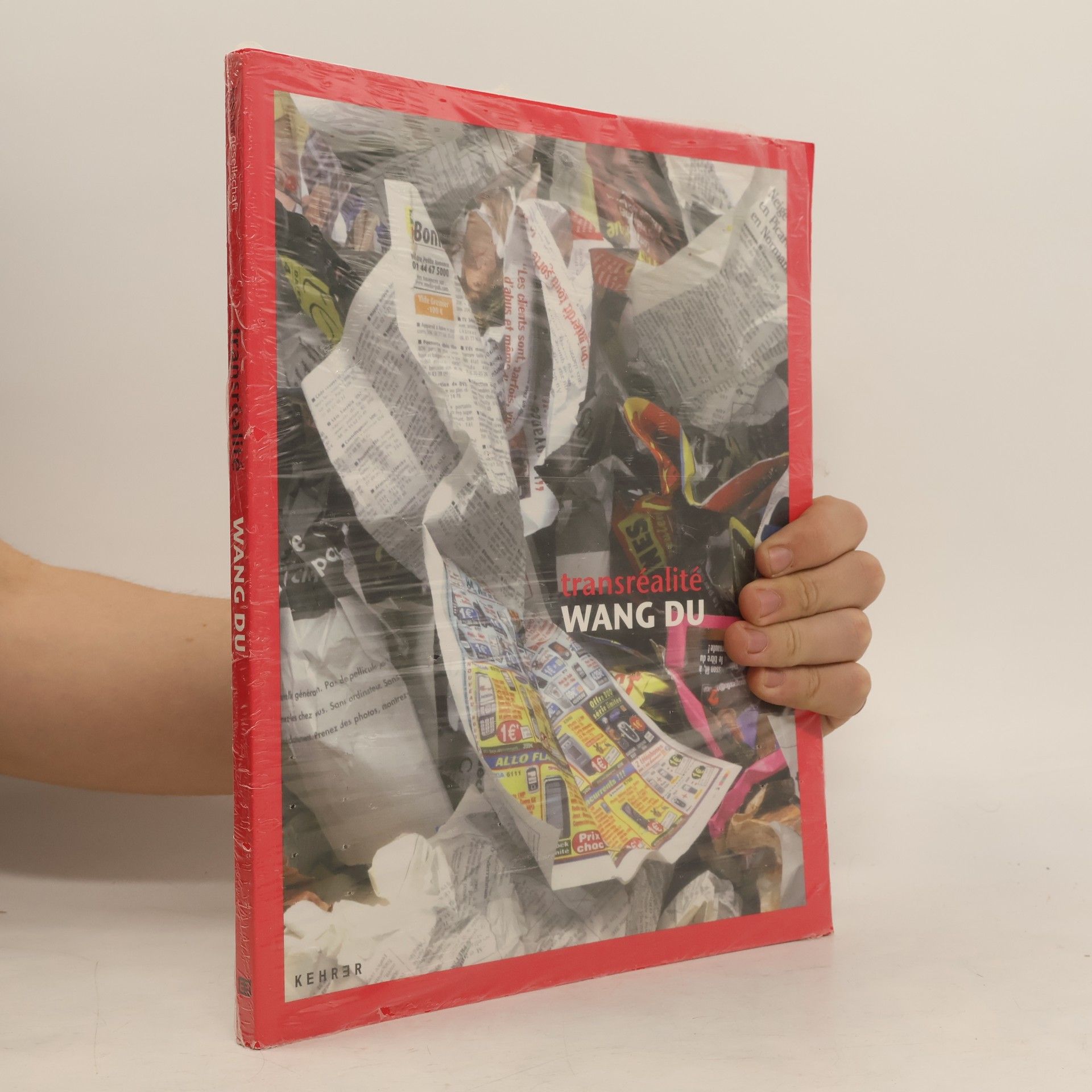 Veit Görner Transréalité, Wang Du