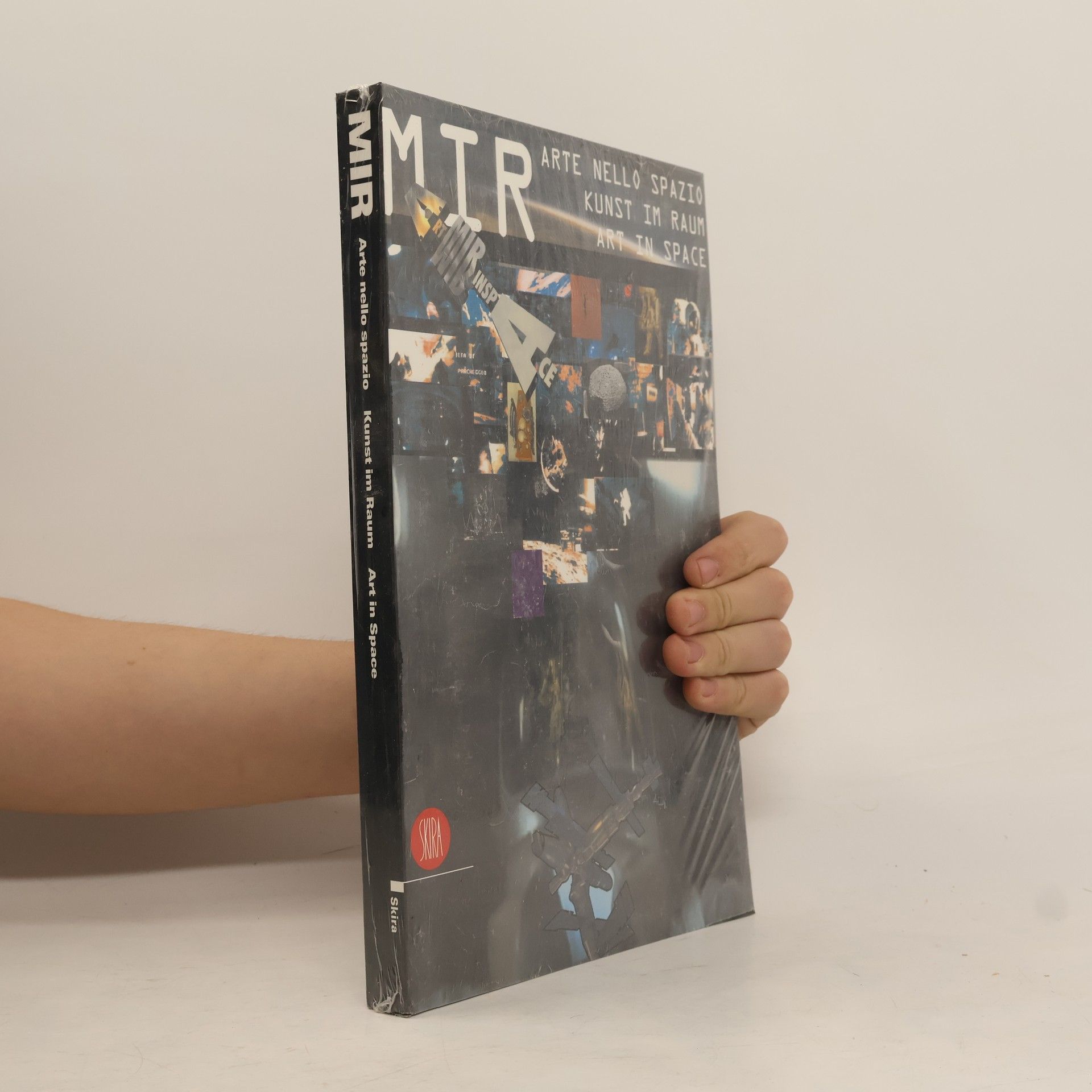 Vittoria Polese Art in space