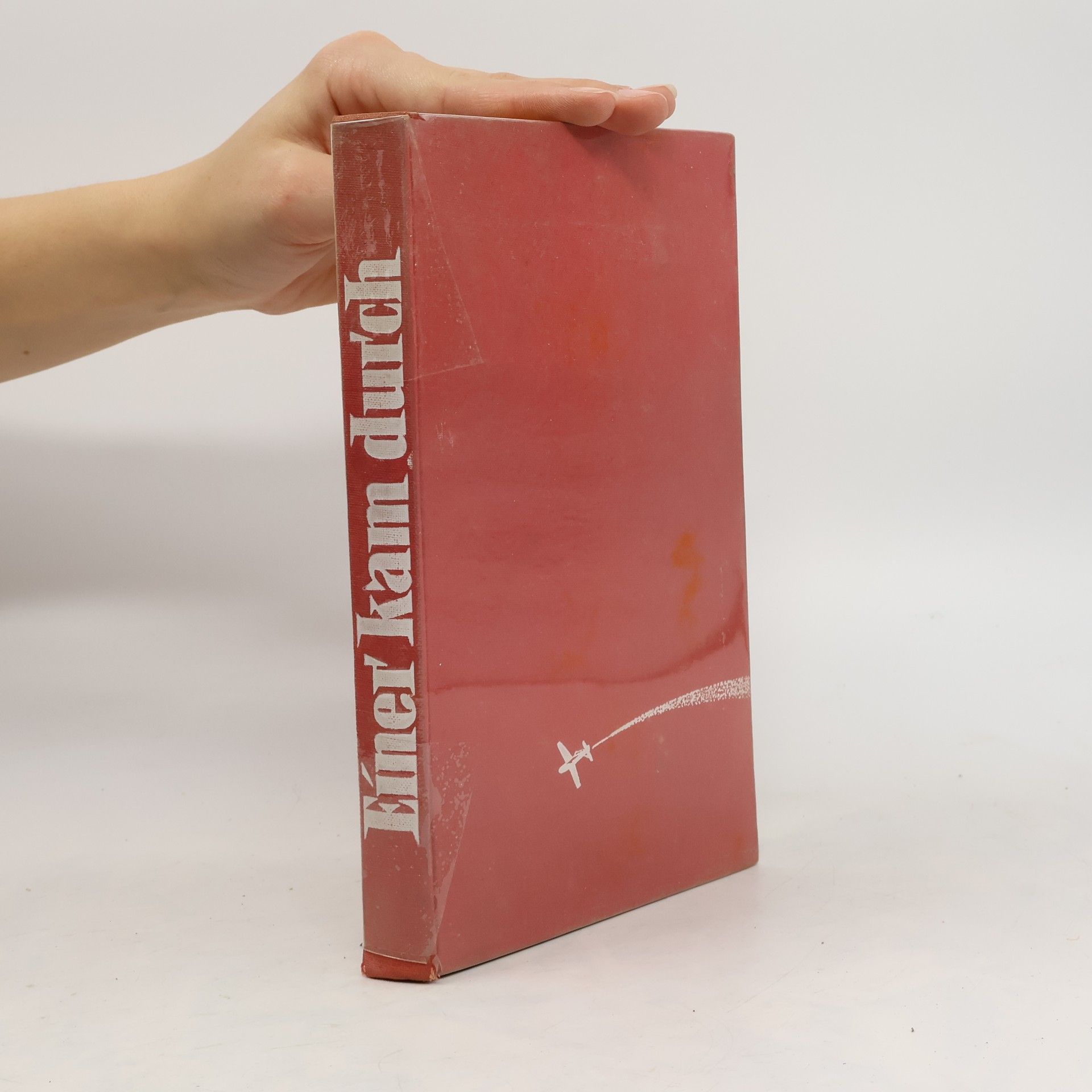 Autorenkollektiv Einer kam durch