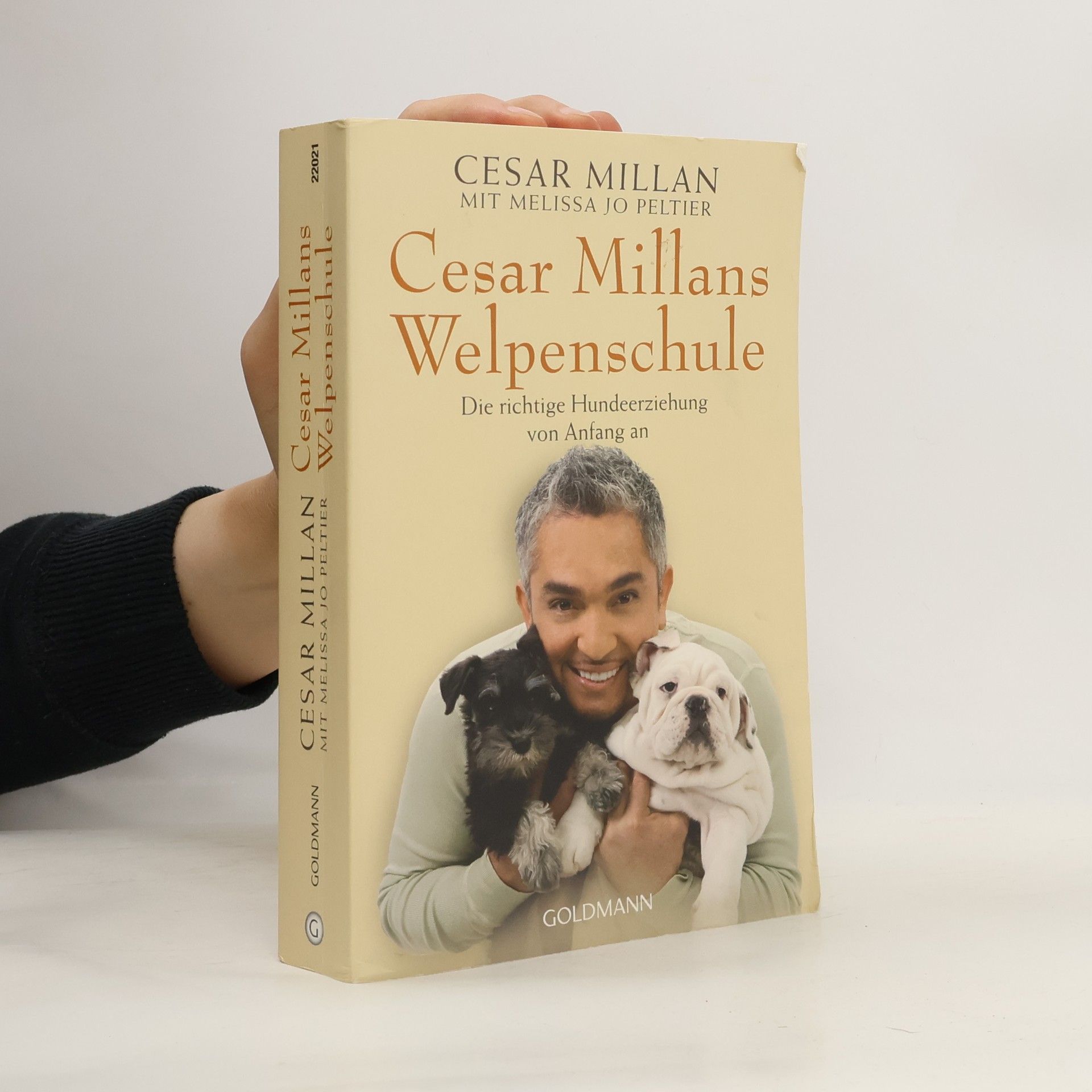 Cesar Millans Welpenschule