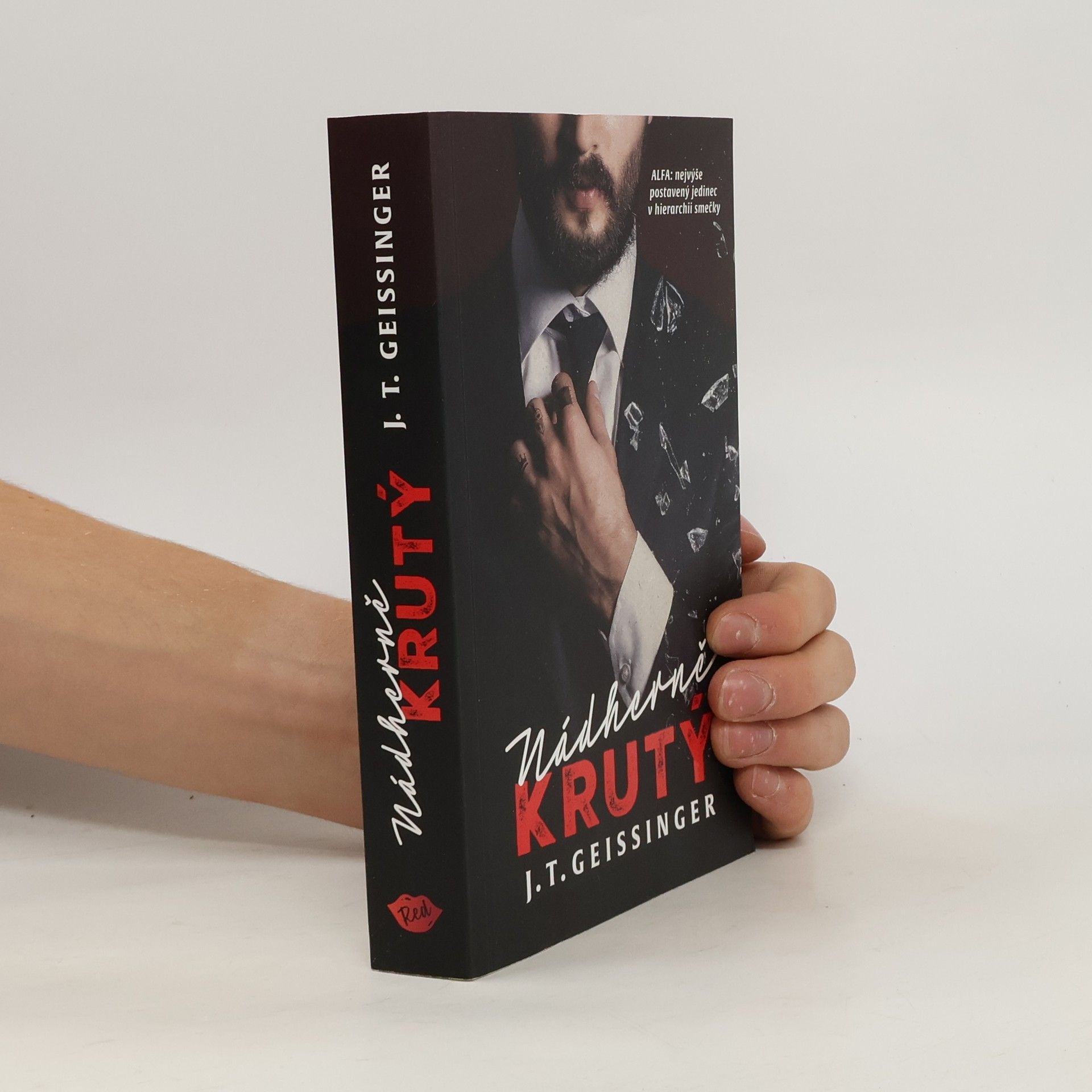 J. T. Geissinger Nádherně krutý