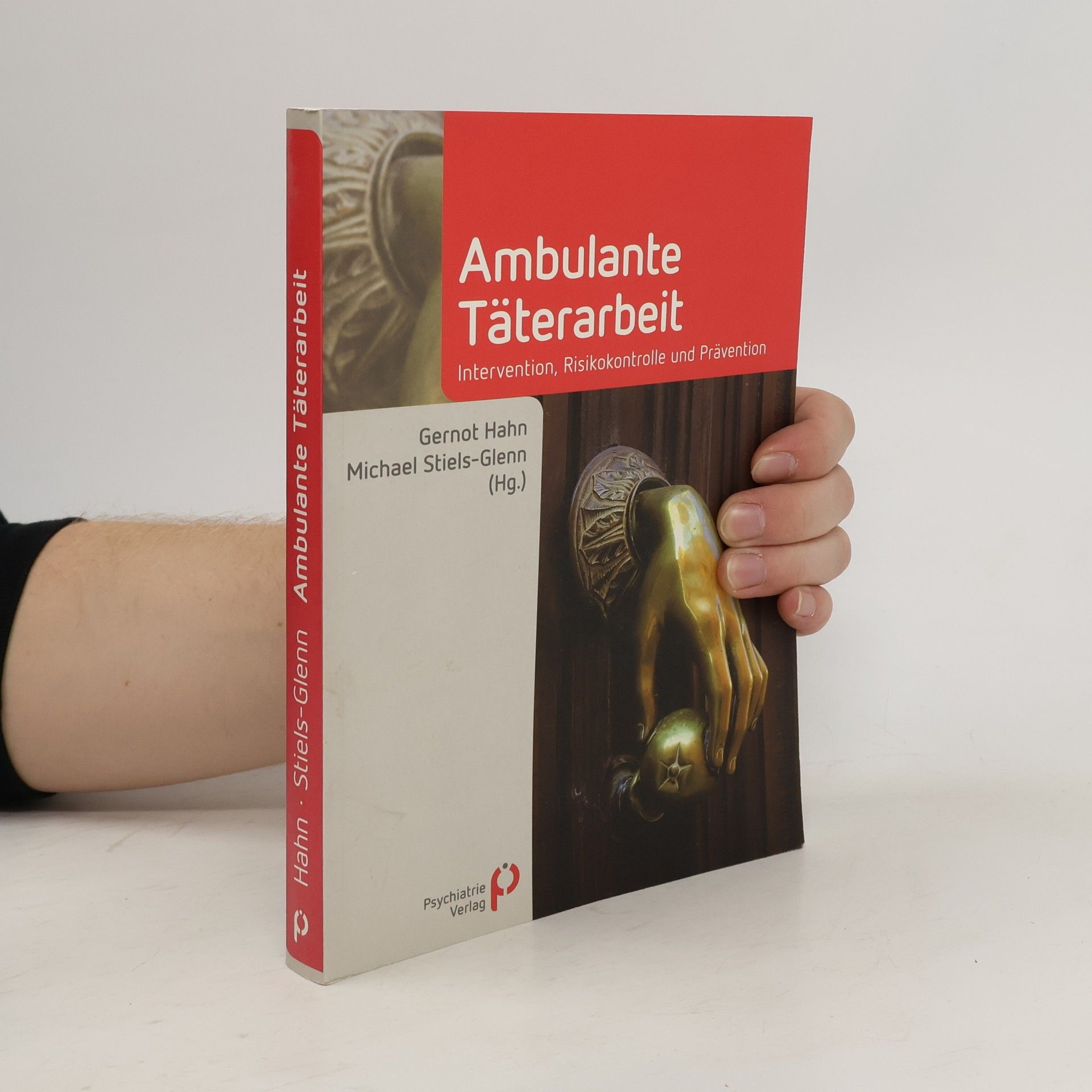 Handbuch Ambulante Täterarbeit