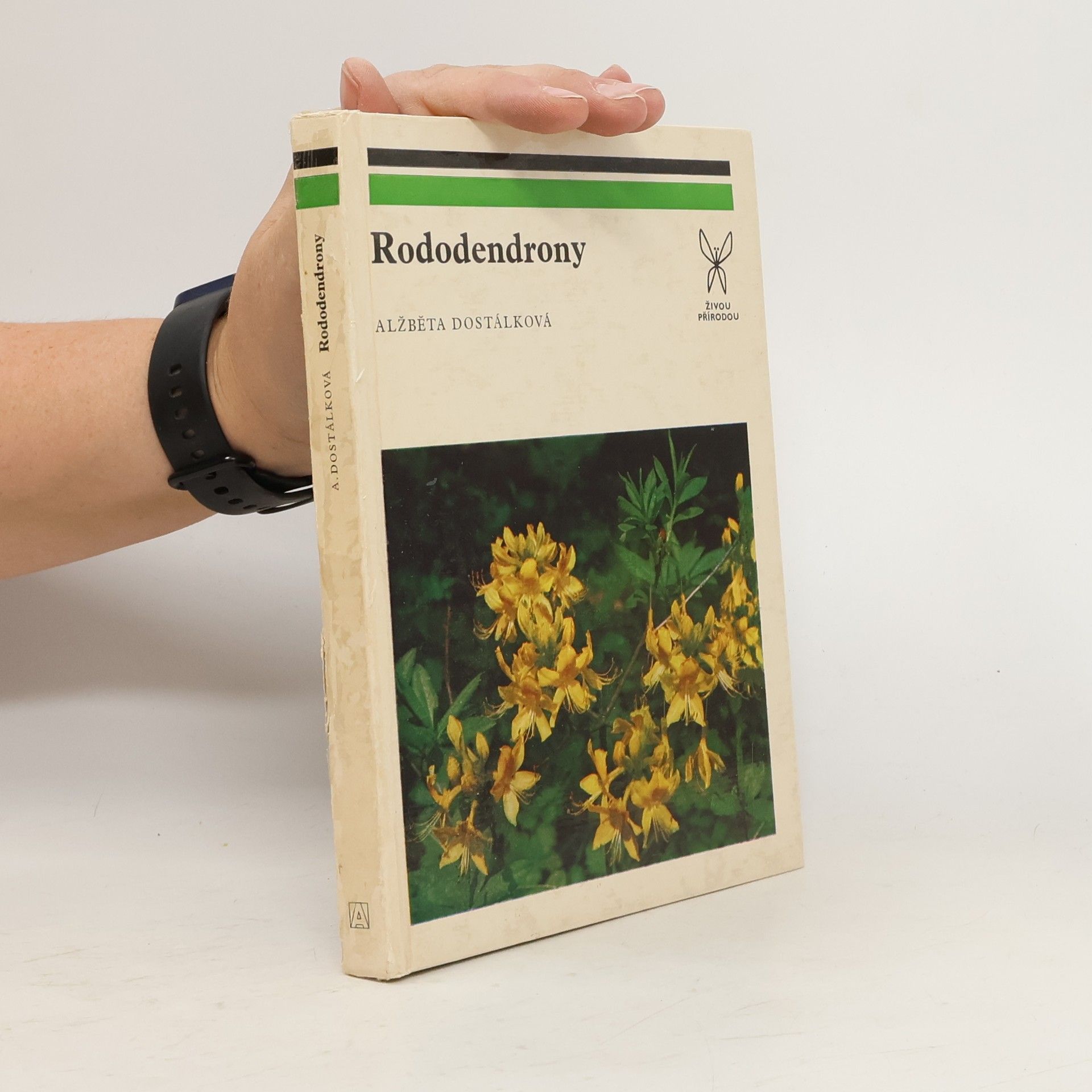 Alžběta Dostálková Rododendrony