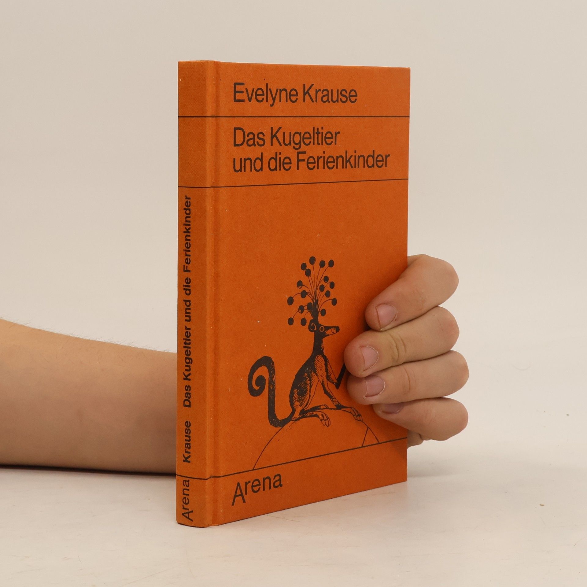 Evelyne Krause Das Kugeltier und die Ferienkinder