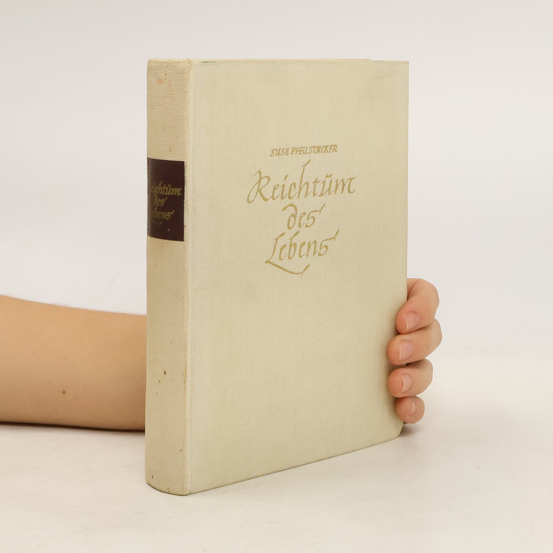 Suse Pfeilstücker Reichtum des Lebens