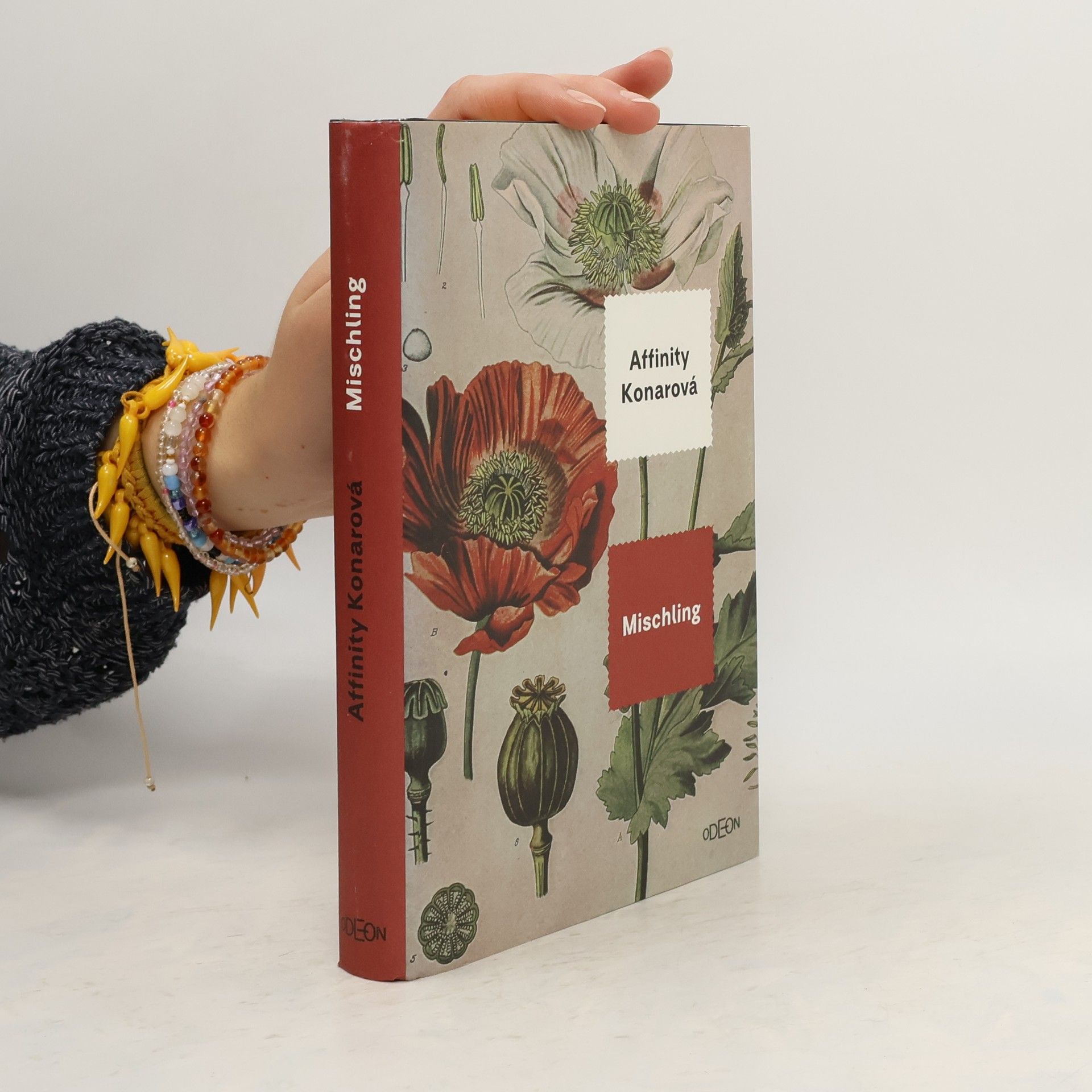 Affinity Konar Mischling