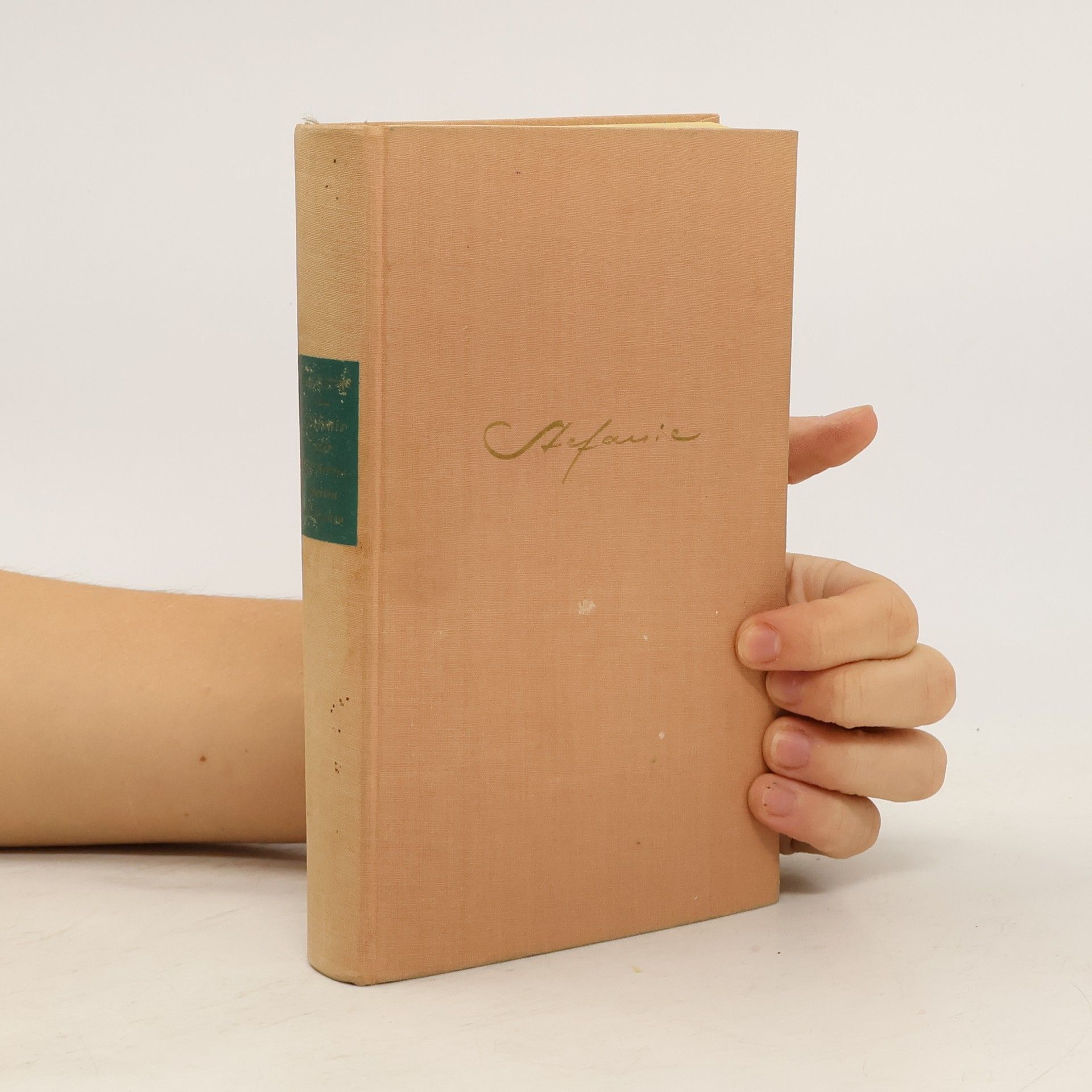 Gitta Cetto Stefanie oder die liebenswerten Torheiten