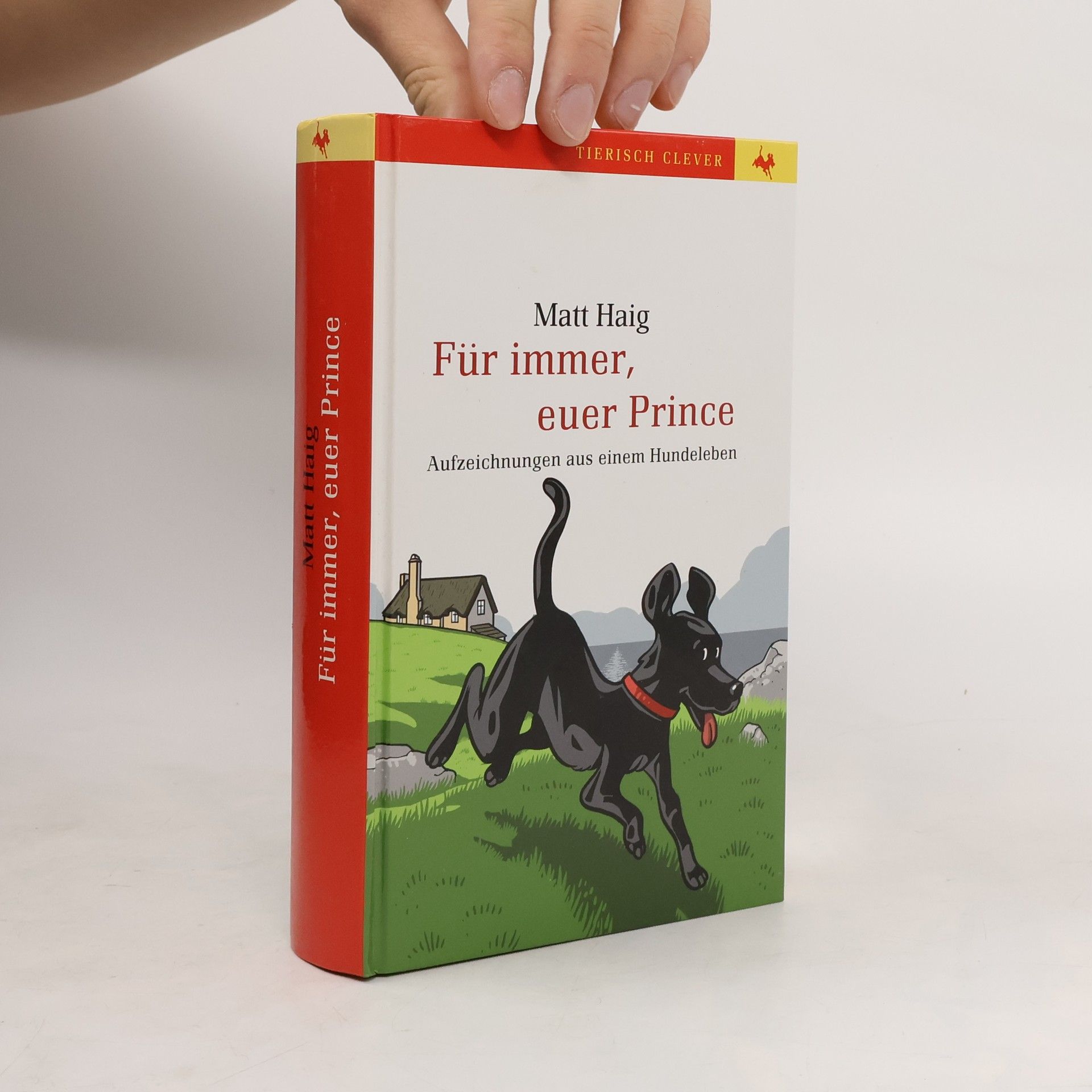 Matt Haig Für immer, euer Prince