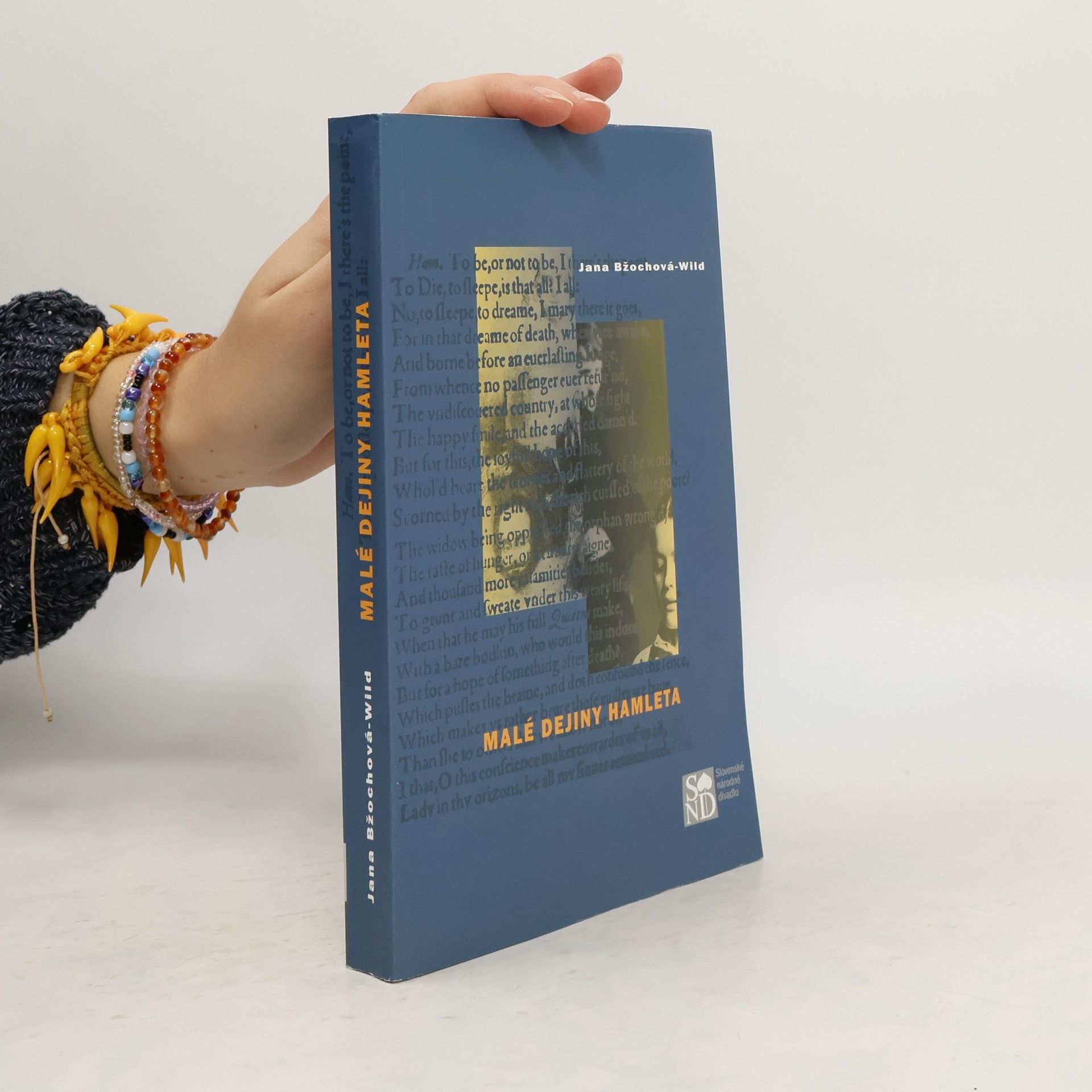 Jana Bžochová-Wild Malé dejiny Hamleta