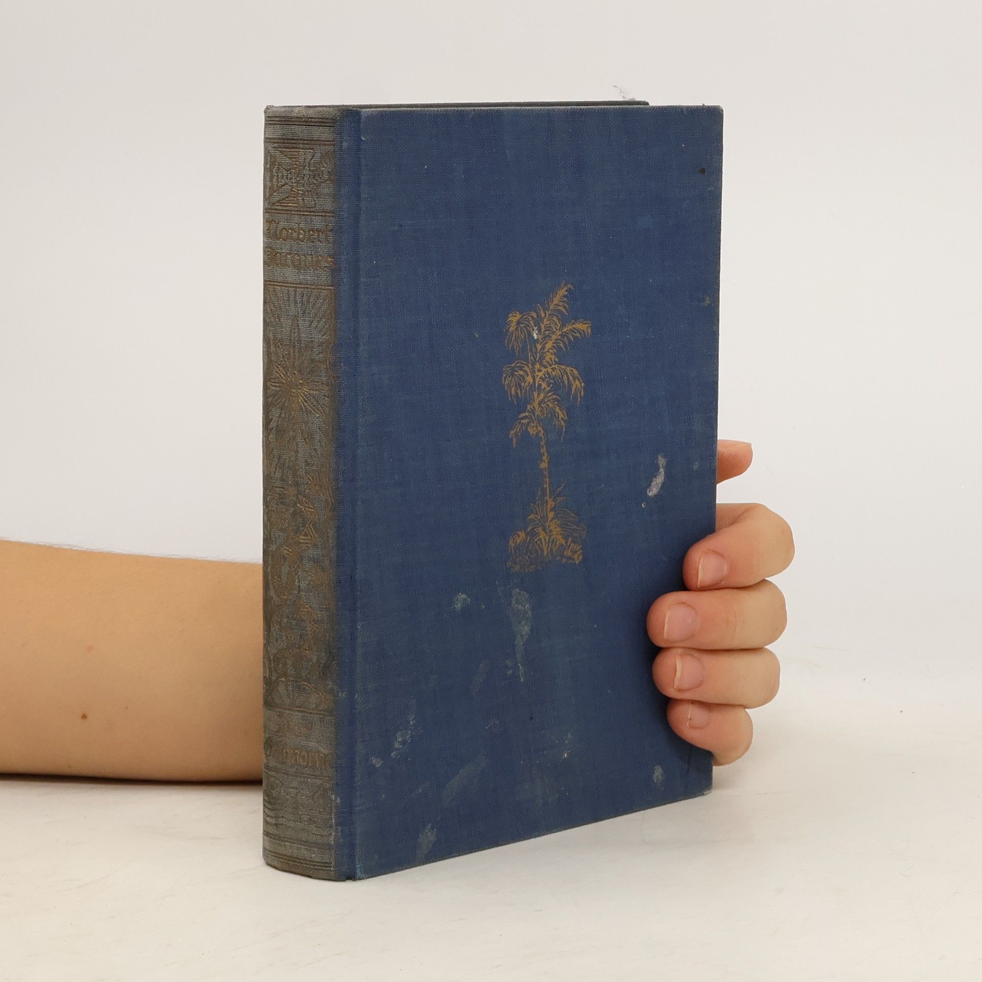 Der Gefangene der Felseninsel