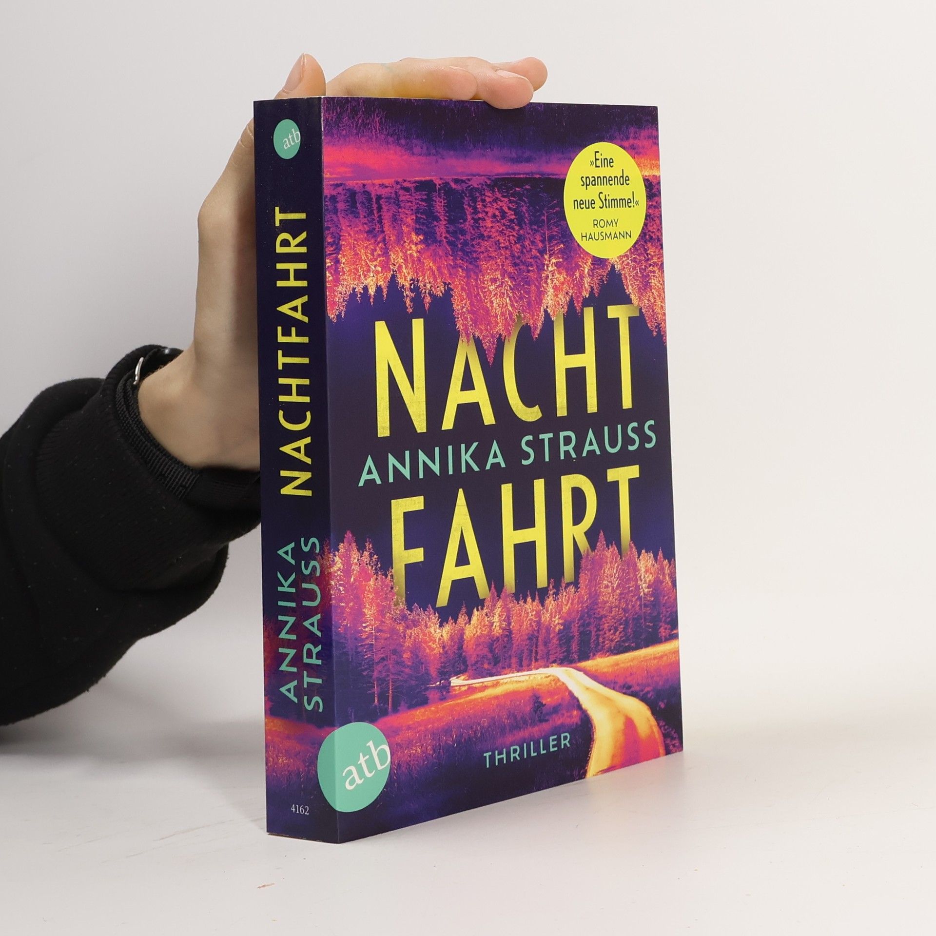Annika Strauss Nachtfahrt