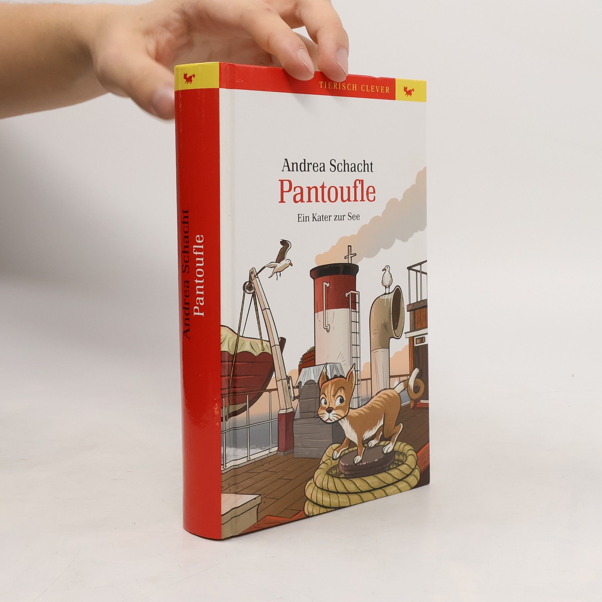 Andrea Schacht Pantoufle: Ein Kater zur See